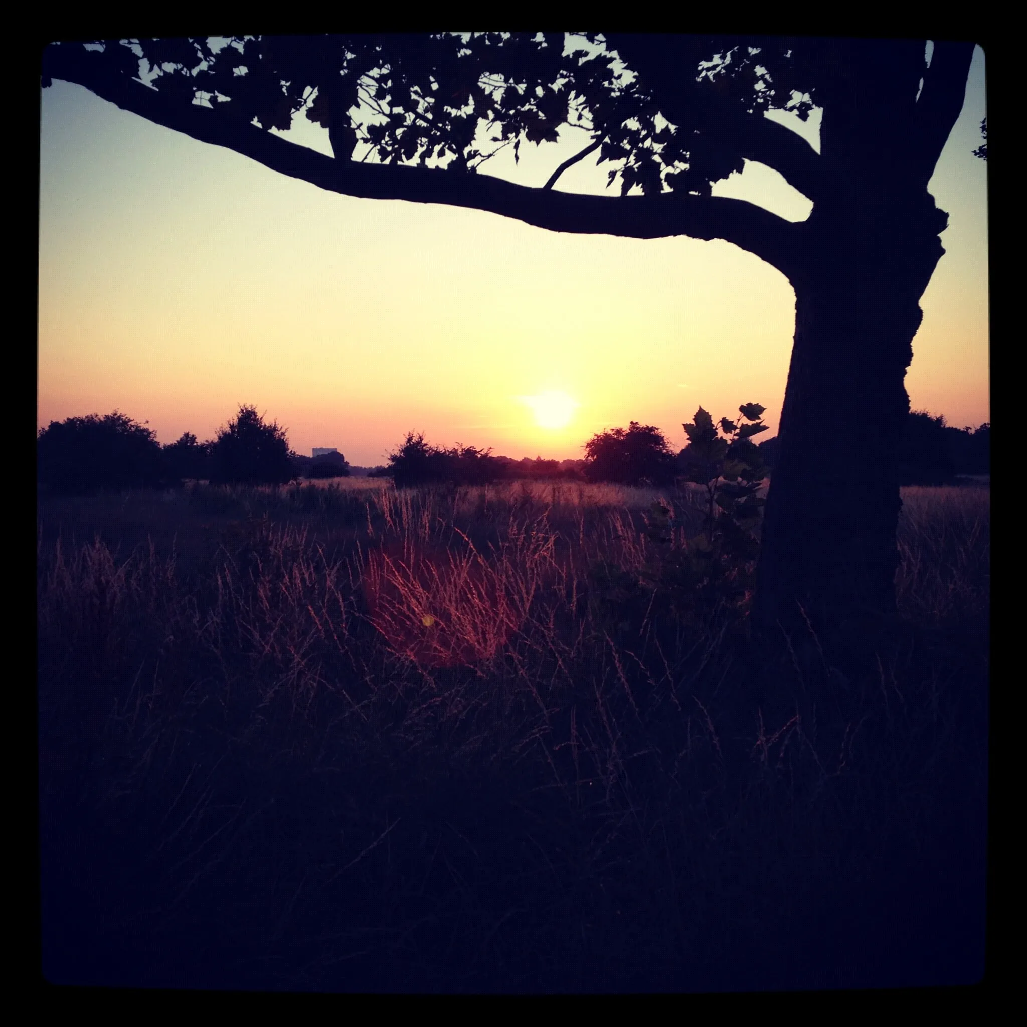 Wanstead Flats, London