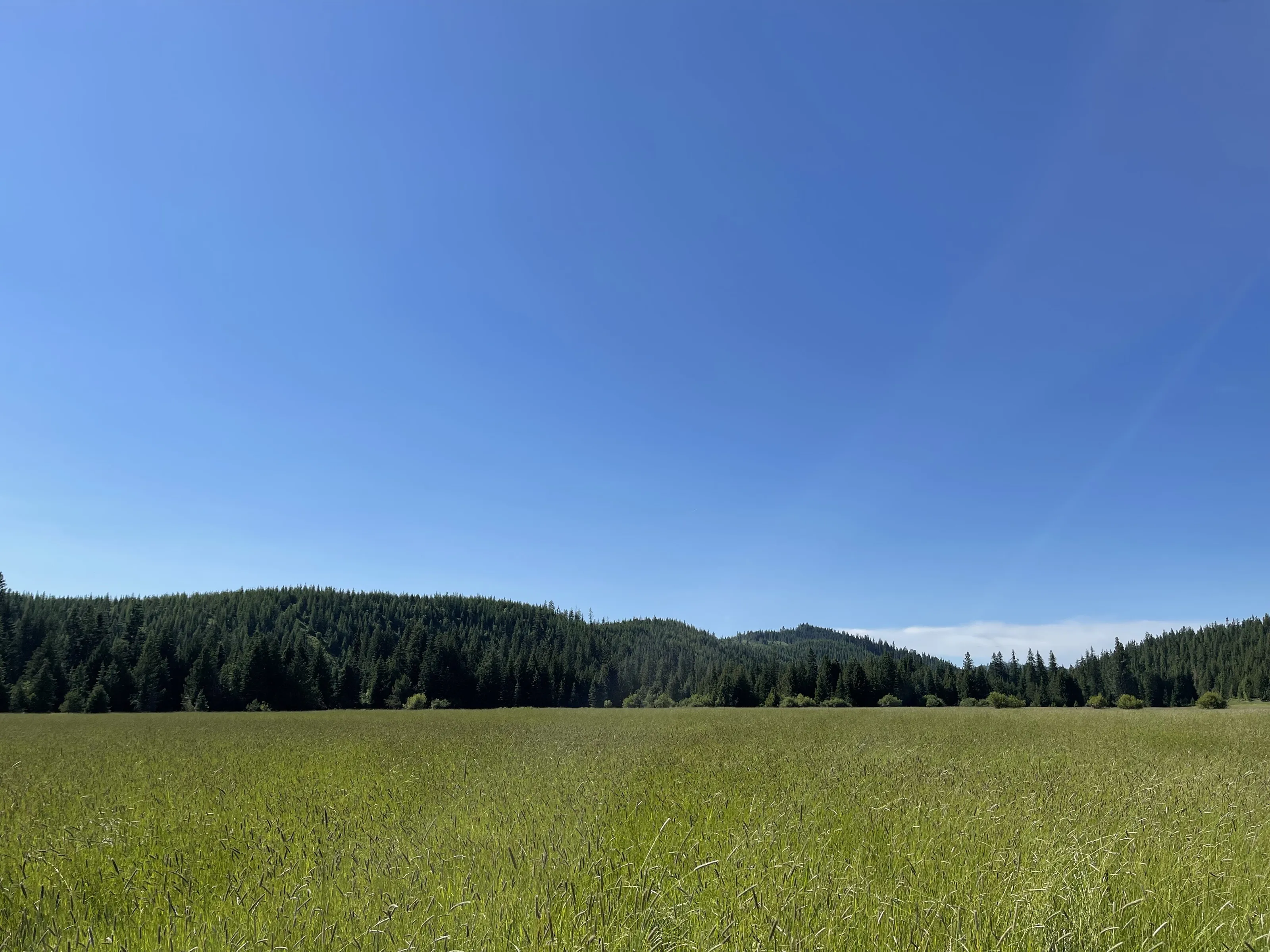 Moscow Idaho