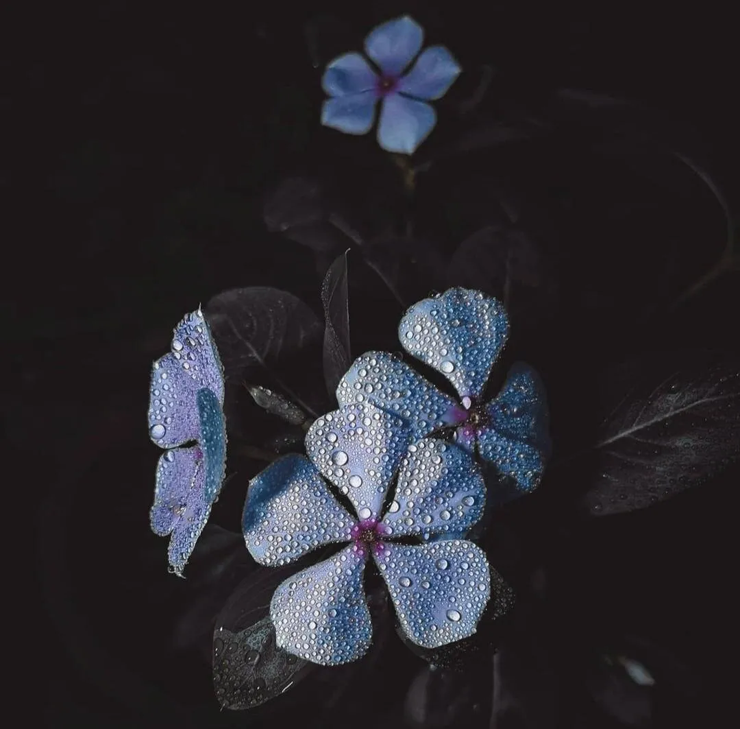 Beauty of nature