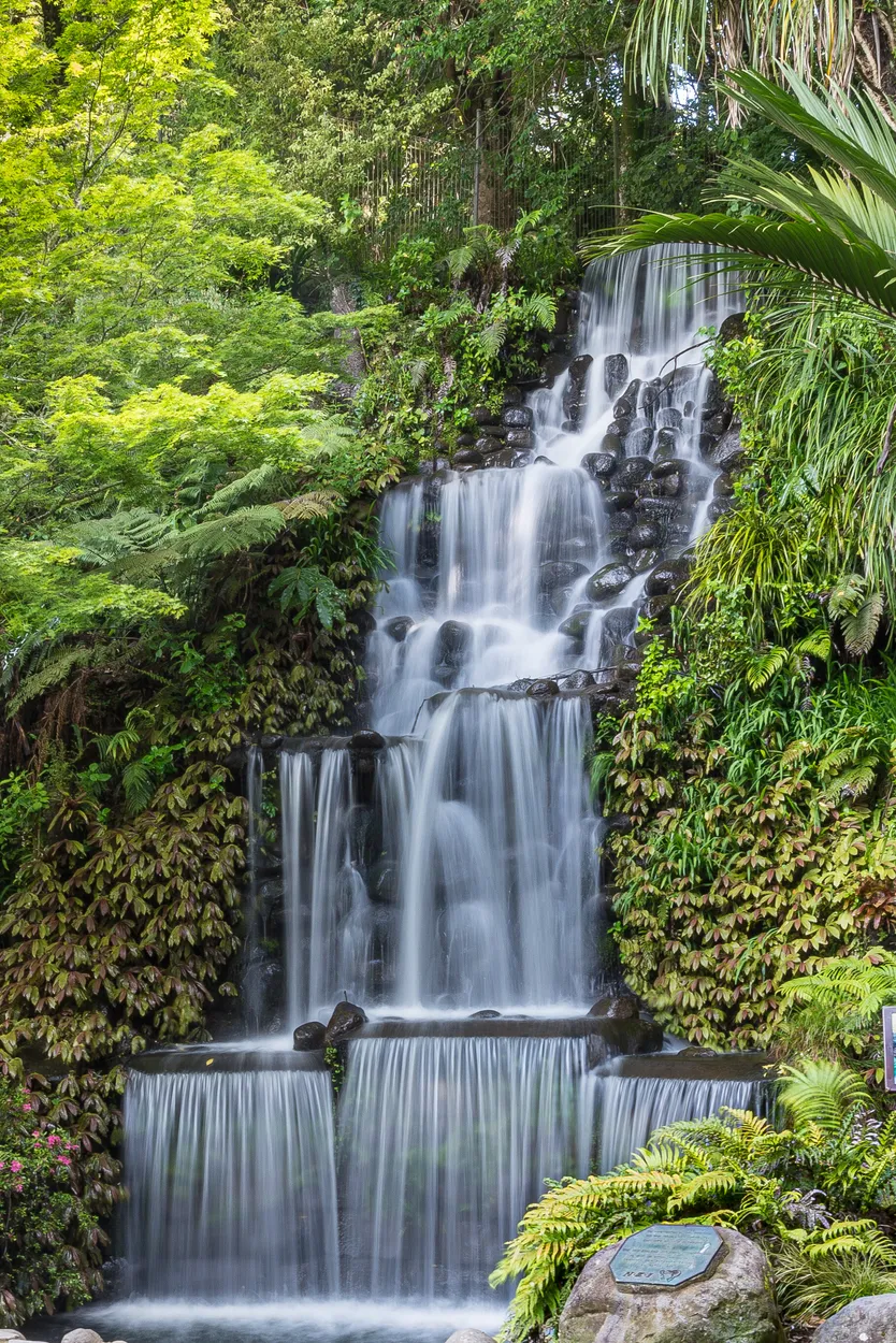 Entry 17714624