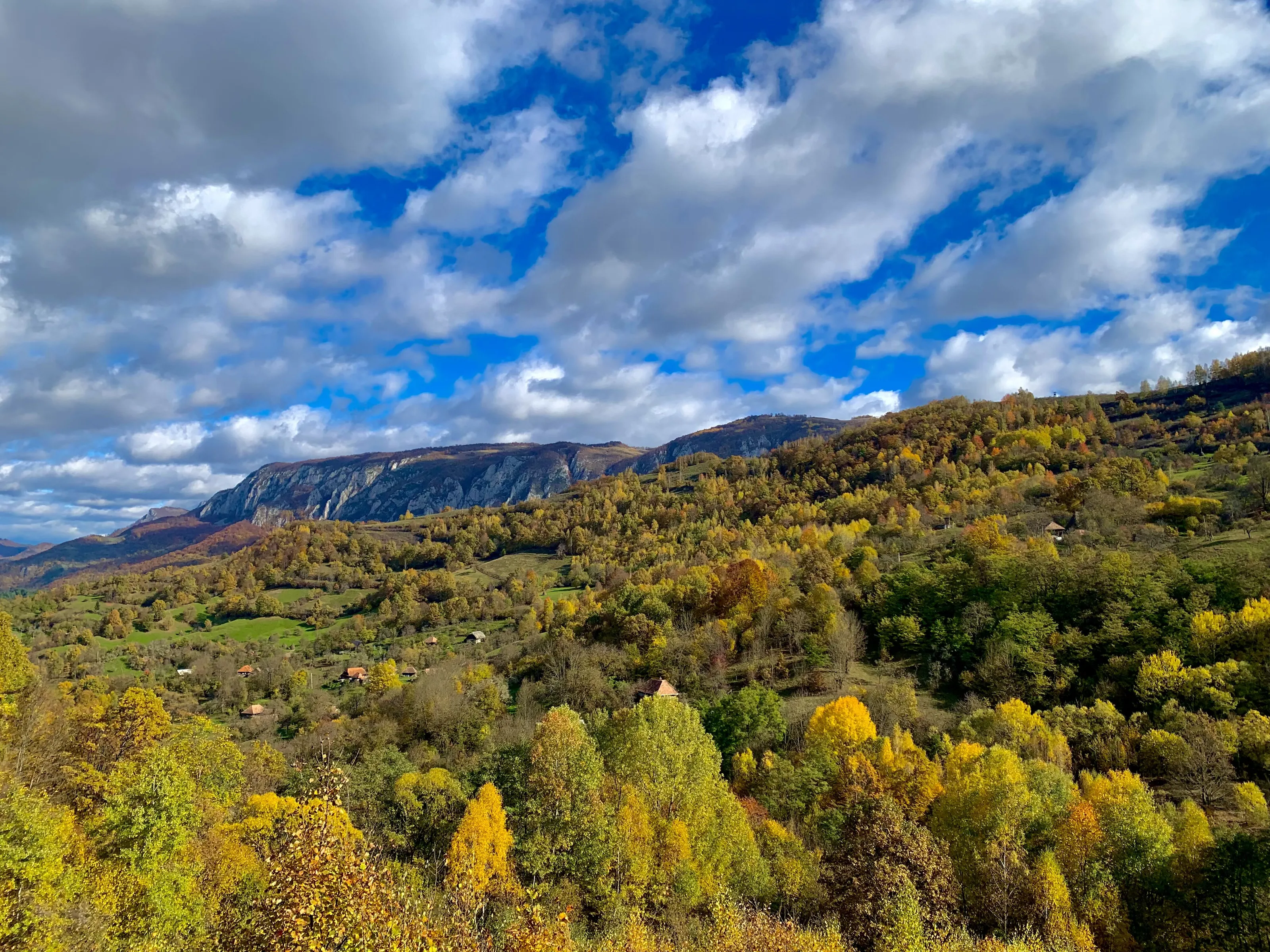 Autumn colours