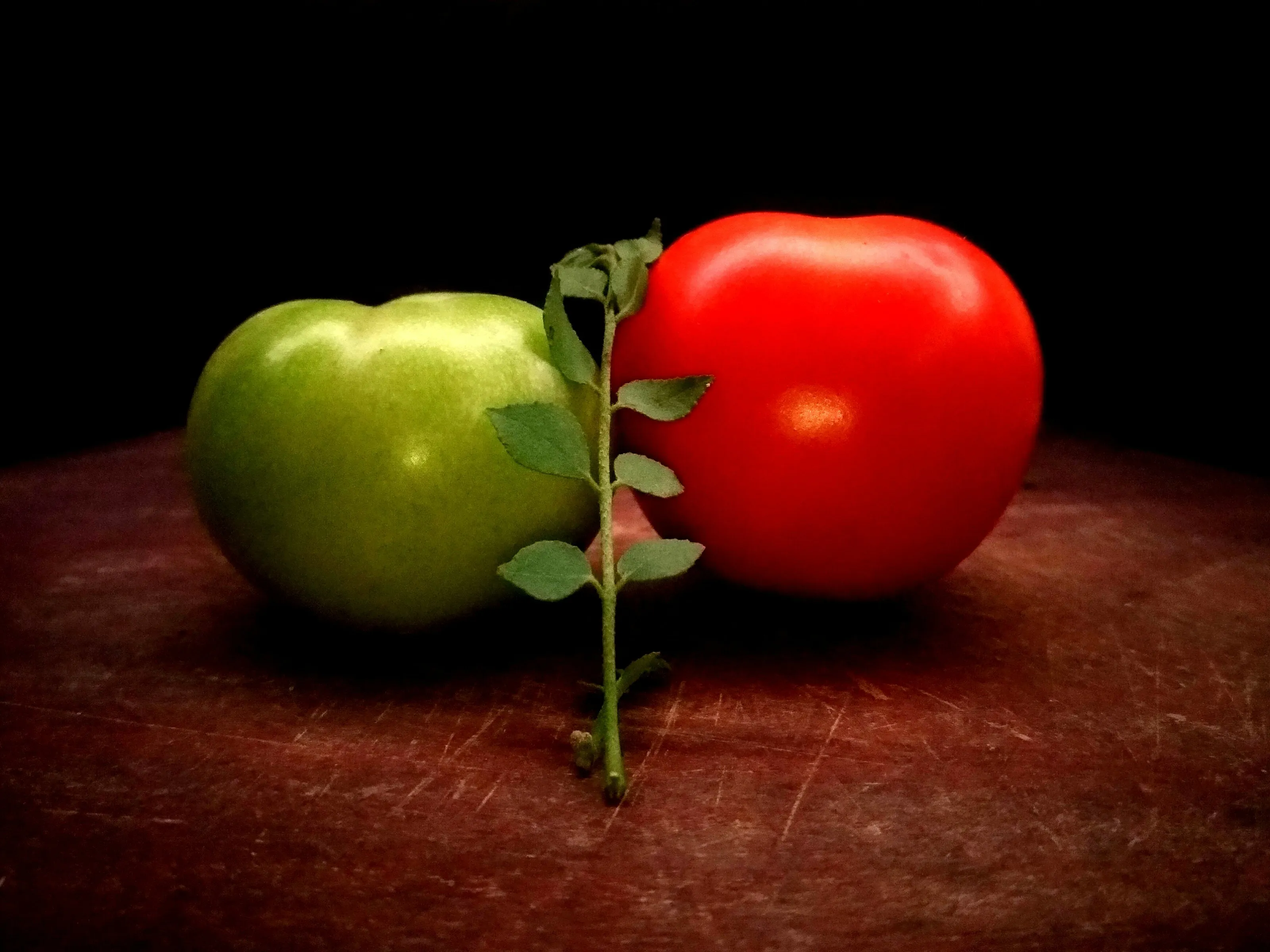 red and green tomatoes with curry leaves
