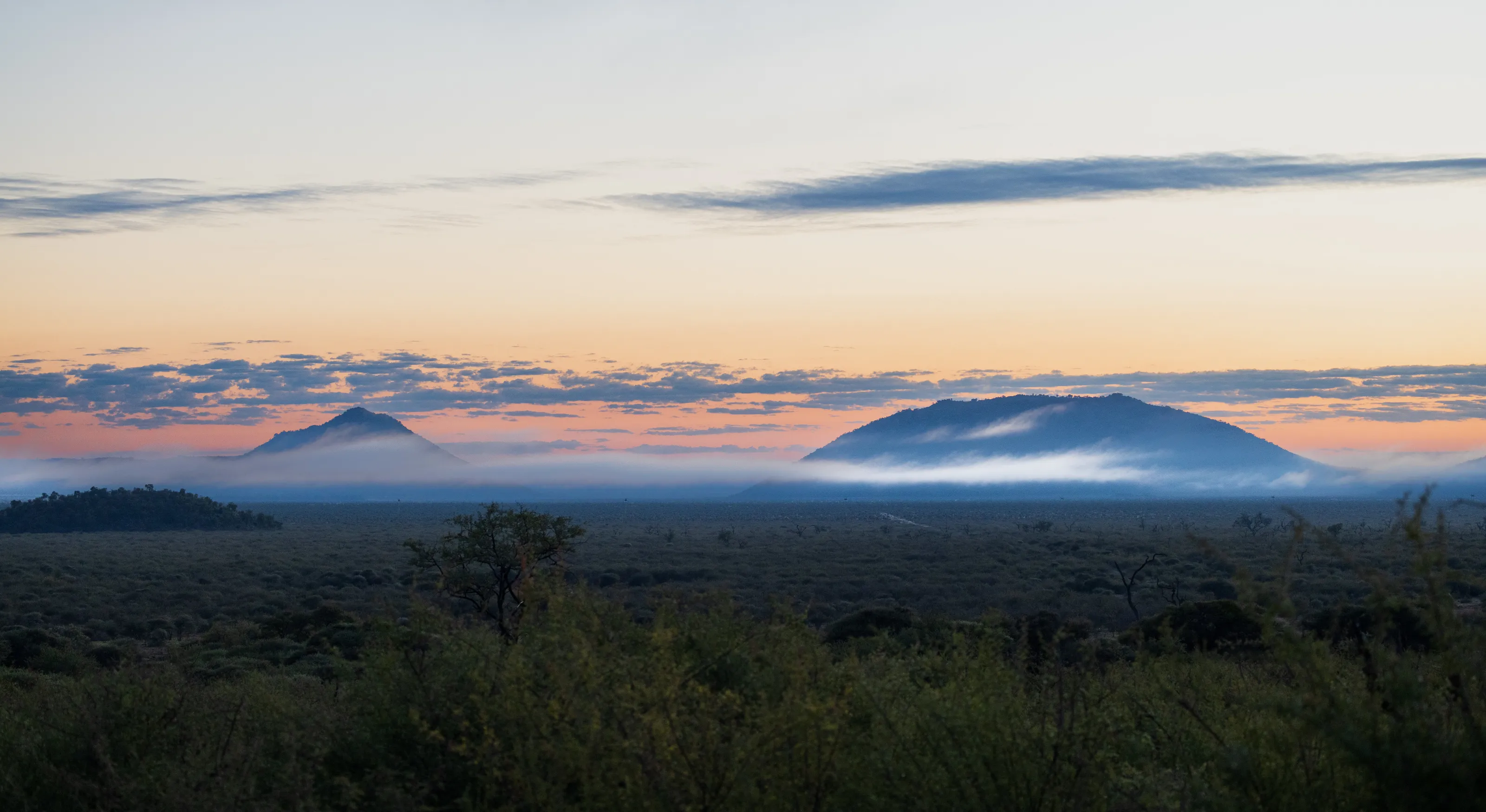 African Morning
