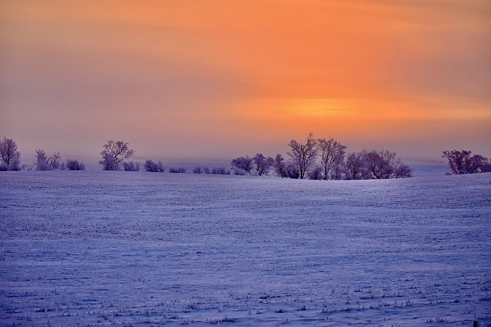 Foggy Sunrise