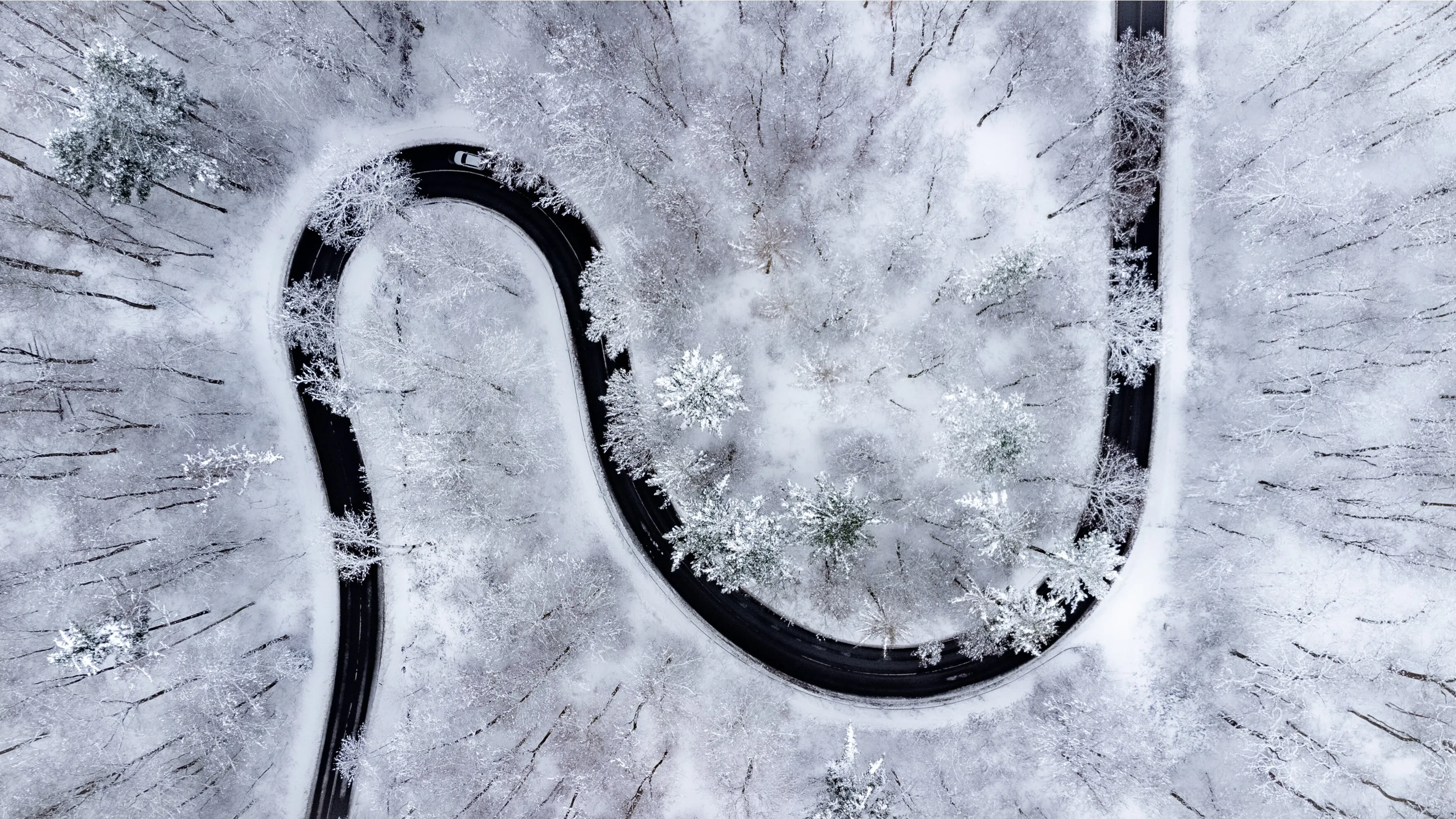 Snowy Curve