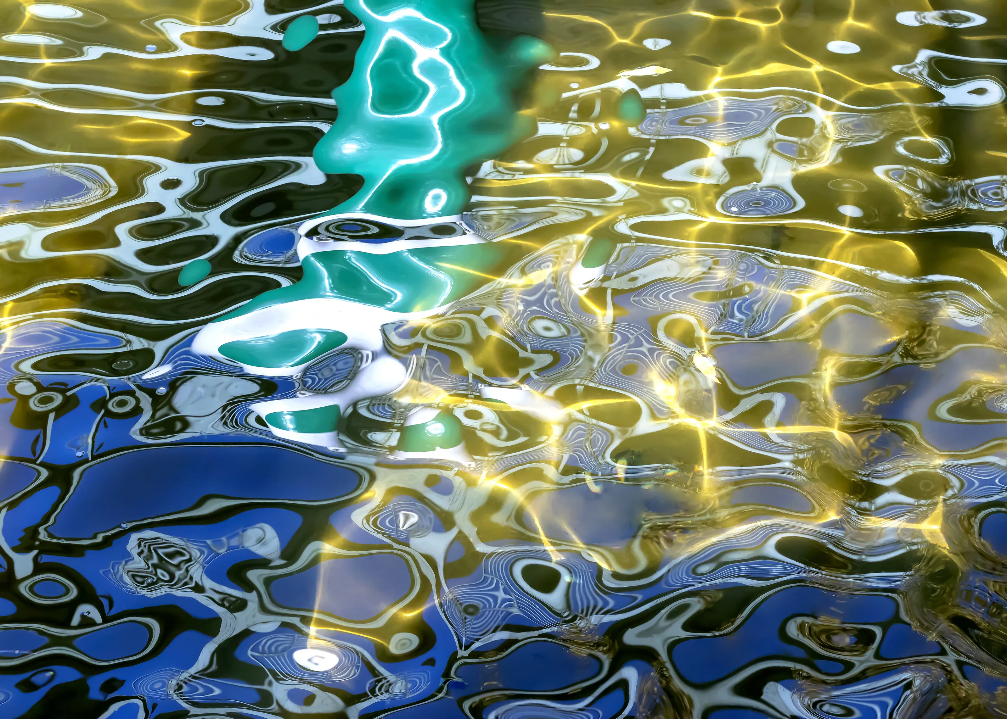 Banner image