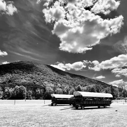 Wagons