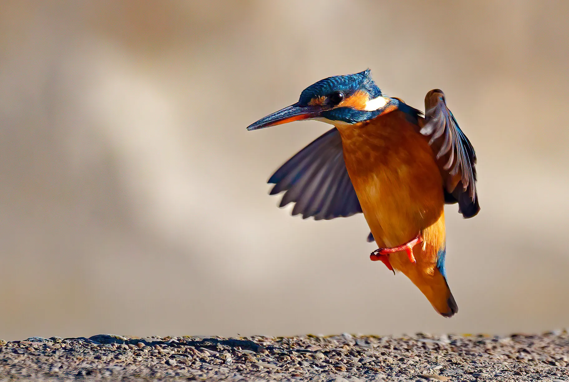 Landing