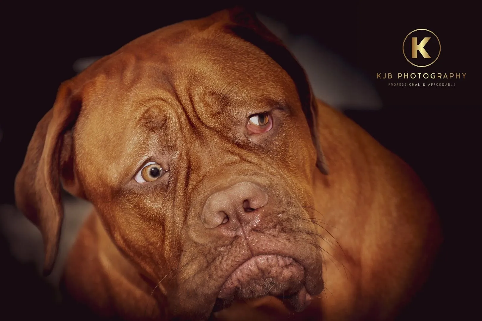 nala “s watch ya lookin