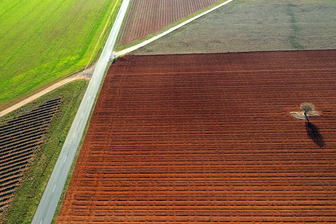 Cross road on plateau de Valensole, Provence, France