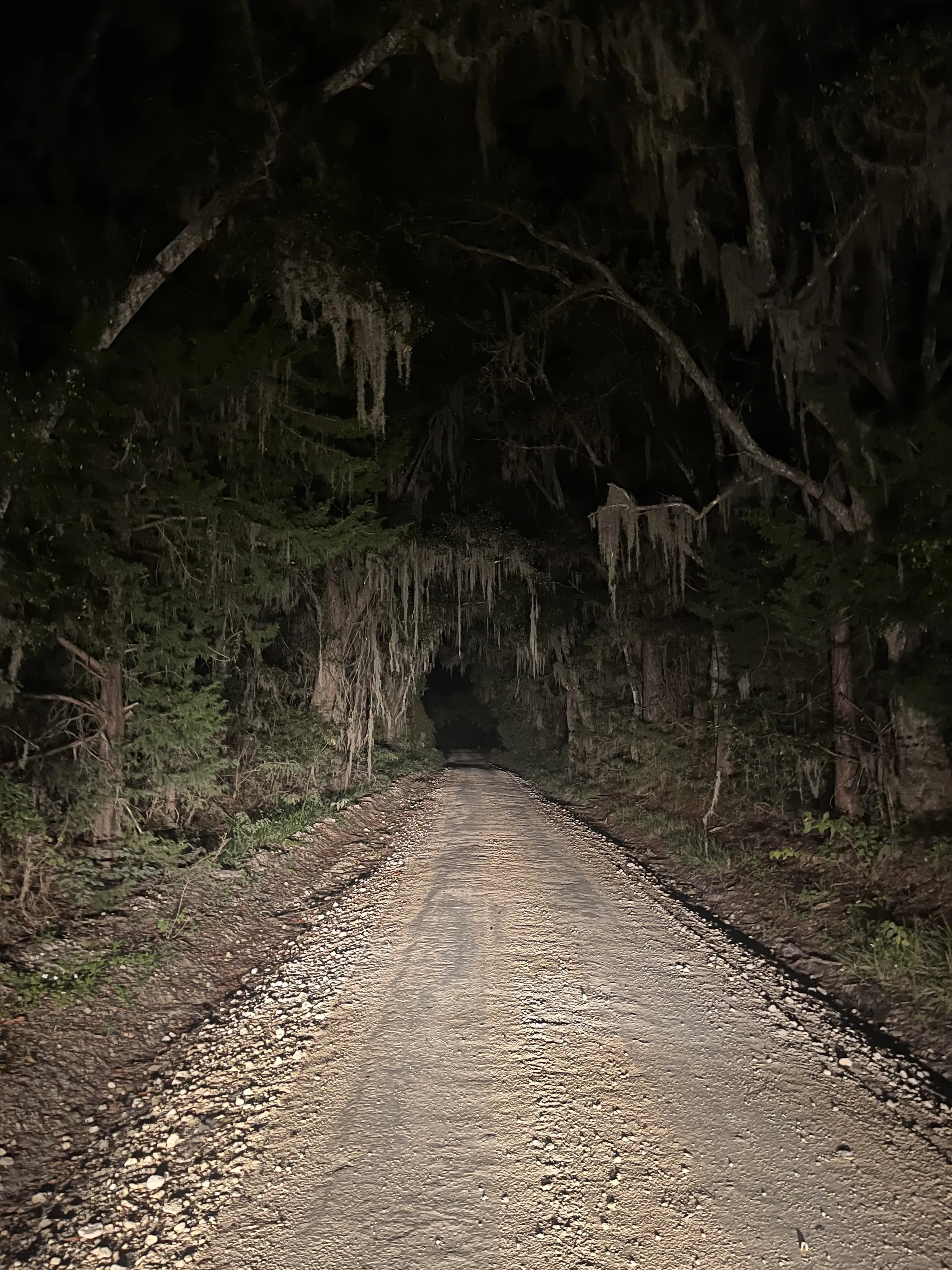 Lonely Road
