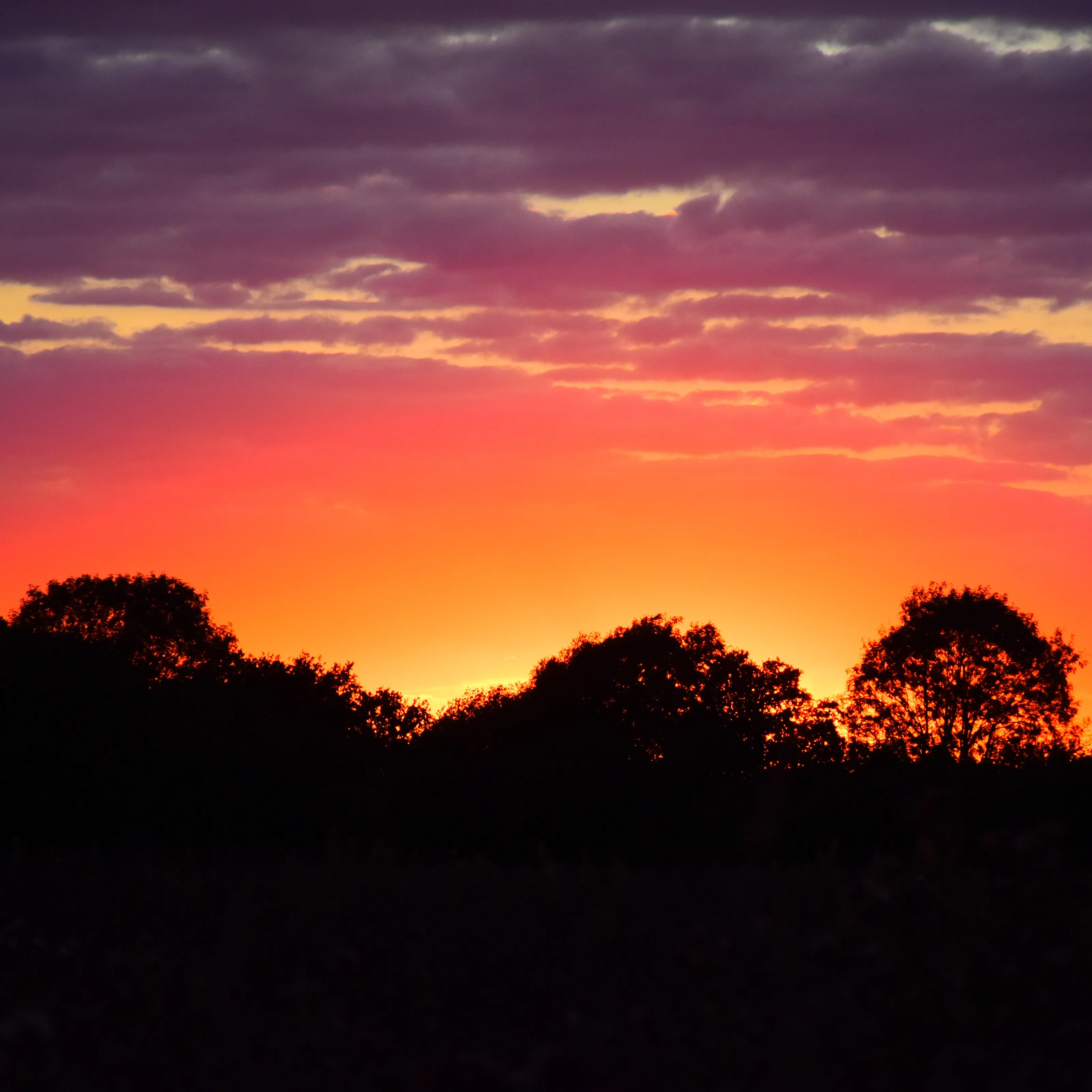 sunset of love