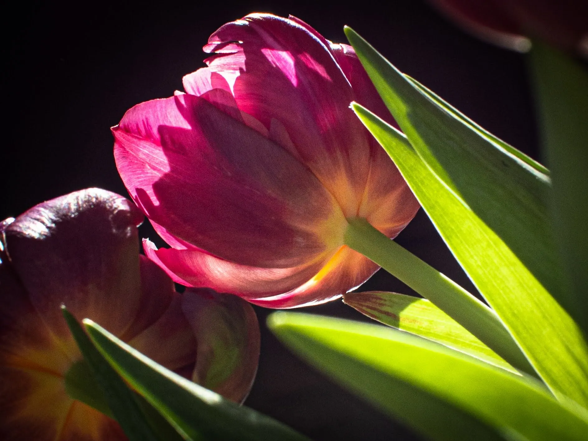 The touch of sun