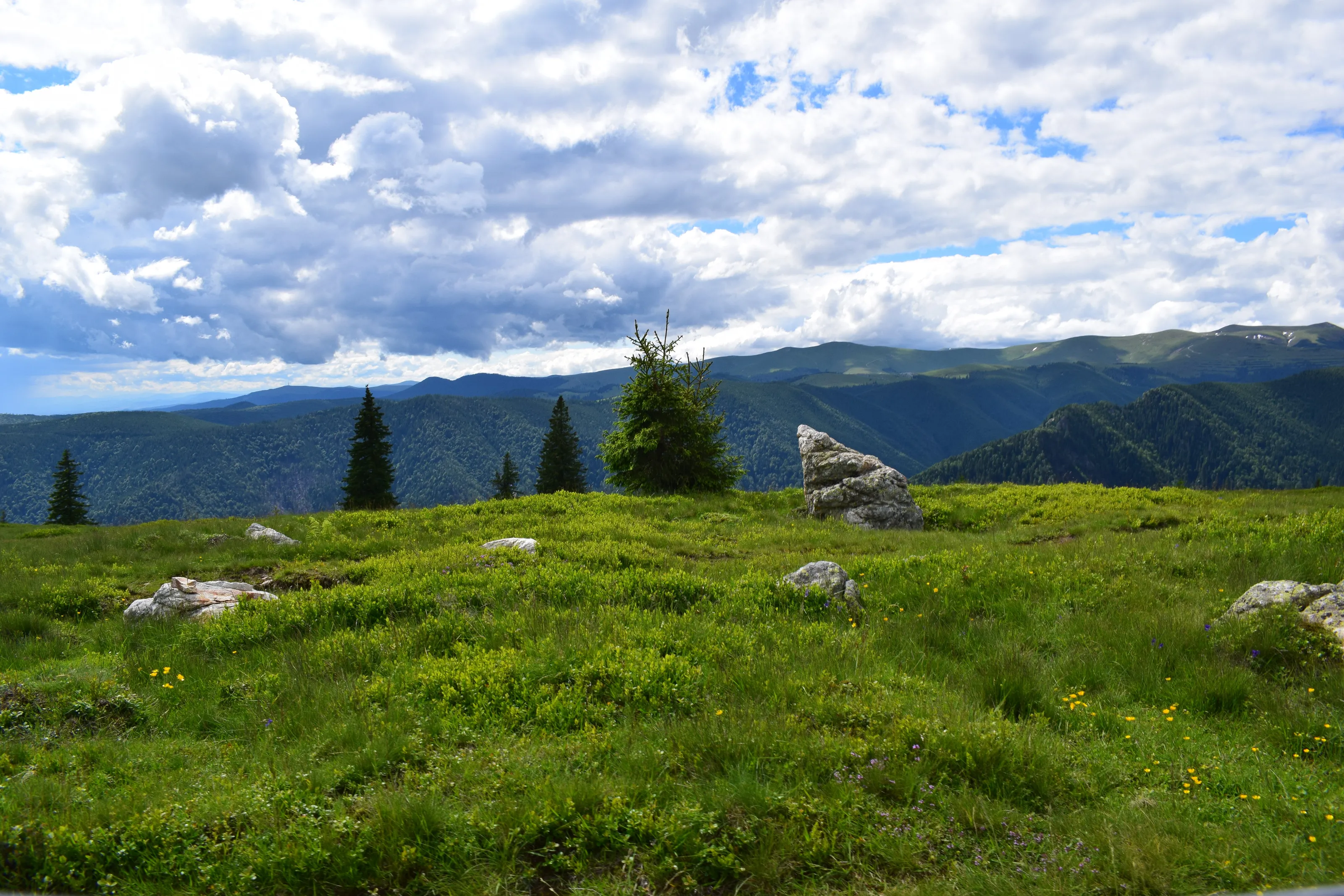 Contemplating the peaks of the mountains