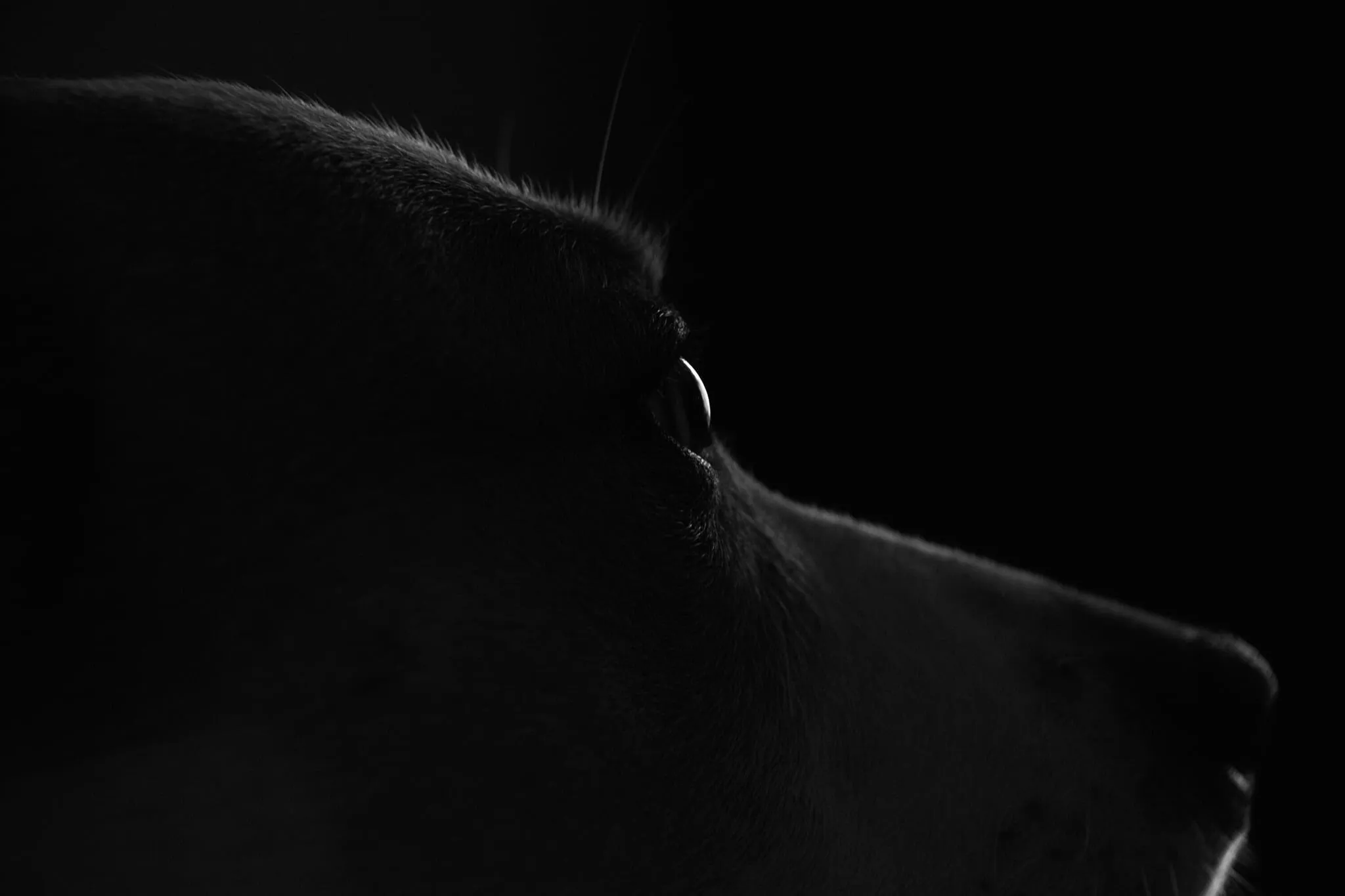 My light in the darkness