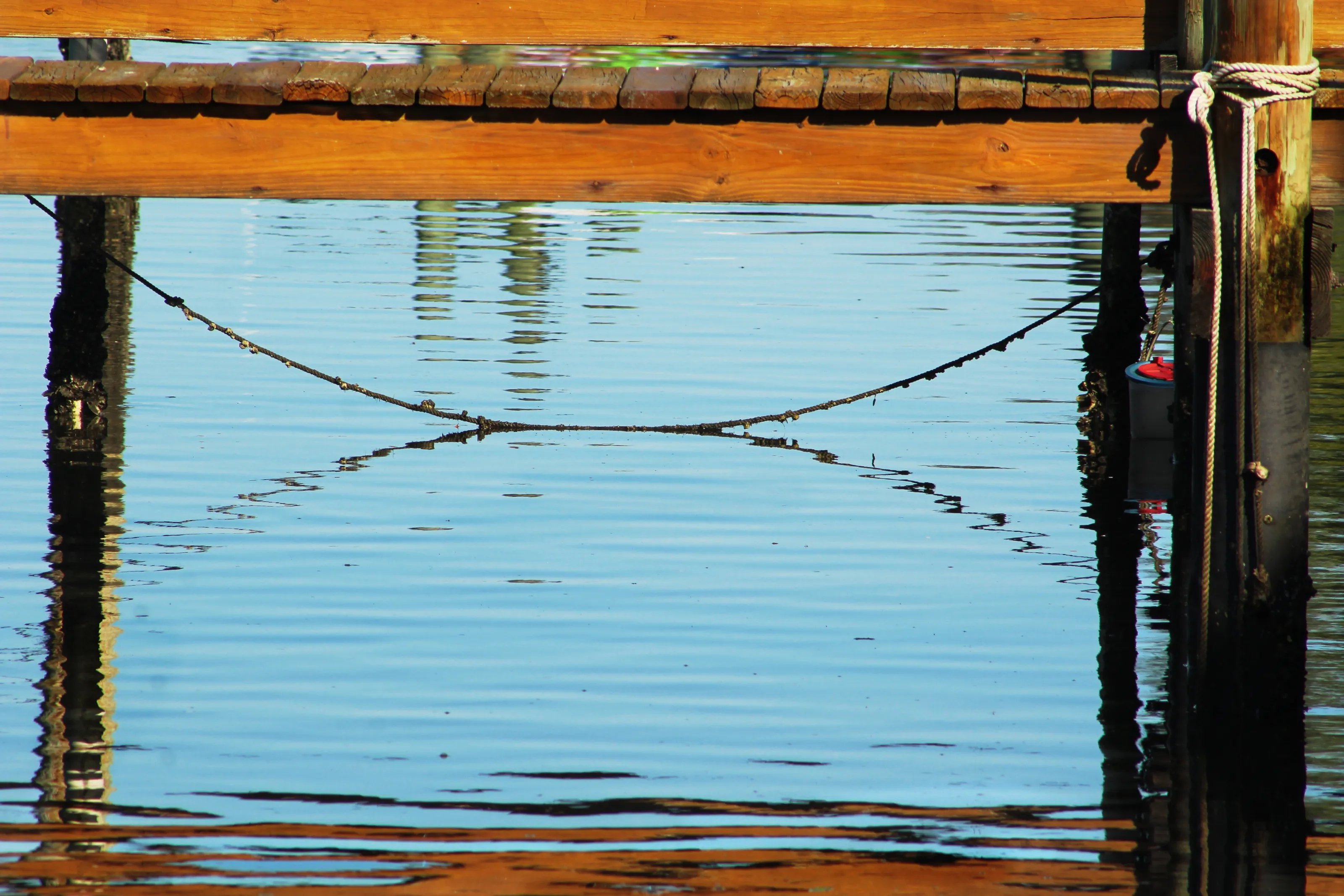 Reflection