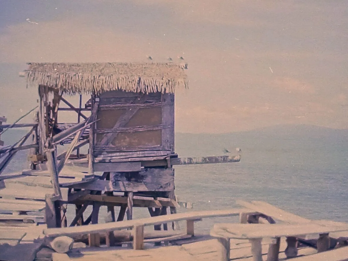 Pelican Bar Blues