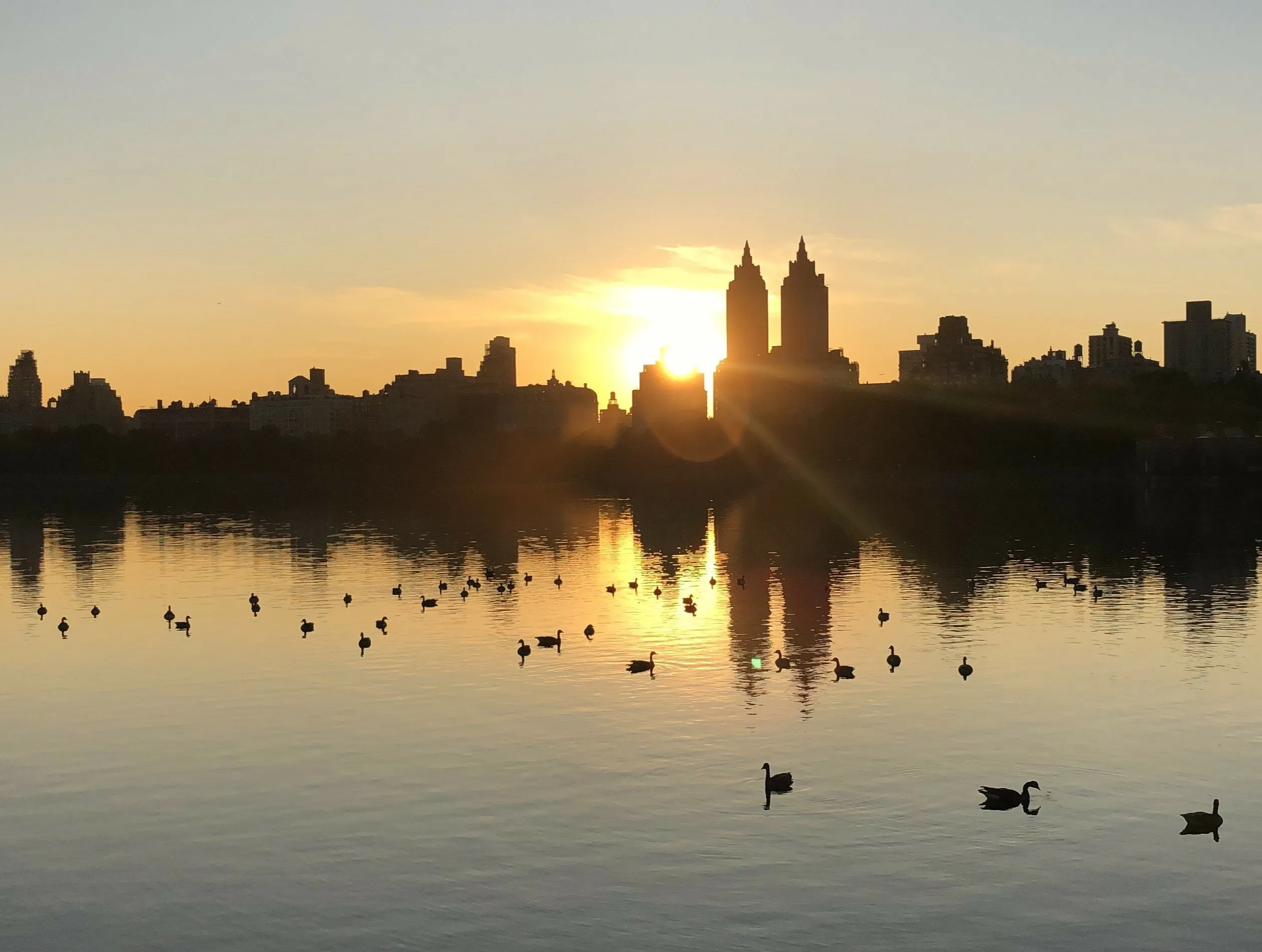 Sunset @ Central Park NYC