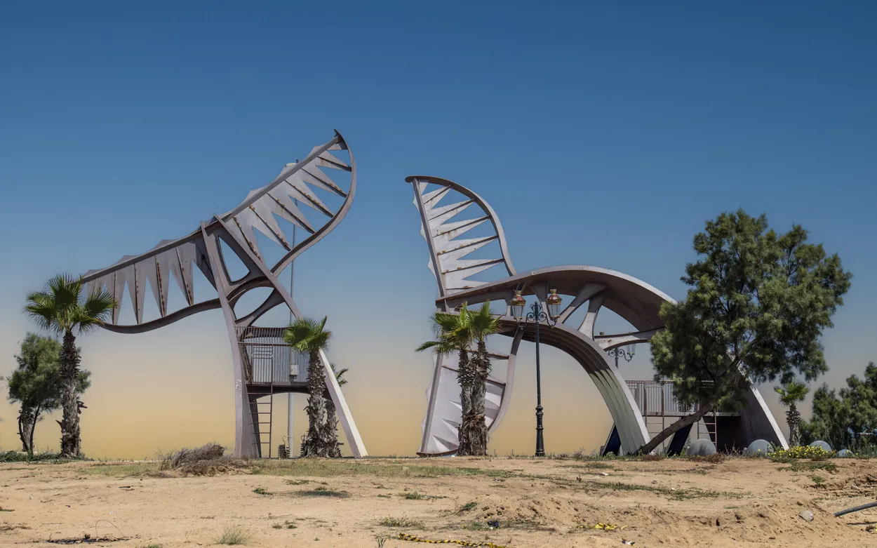 Entry 21566181