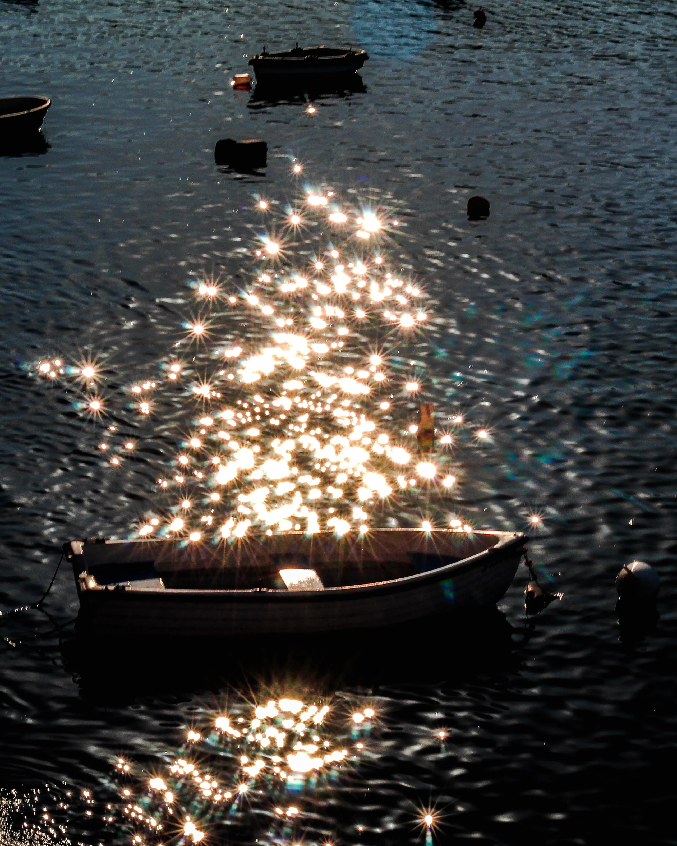 Reflections