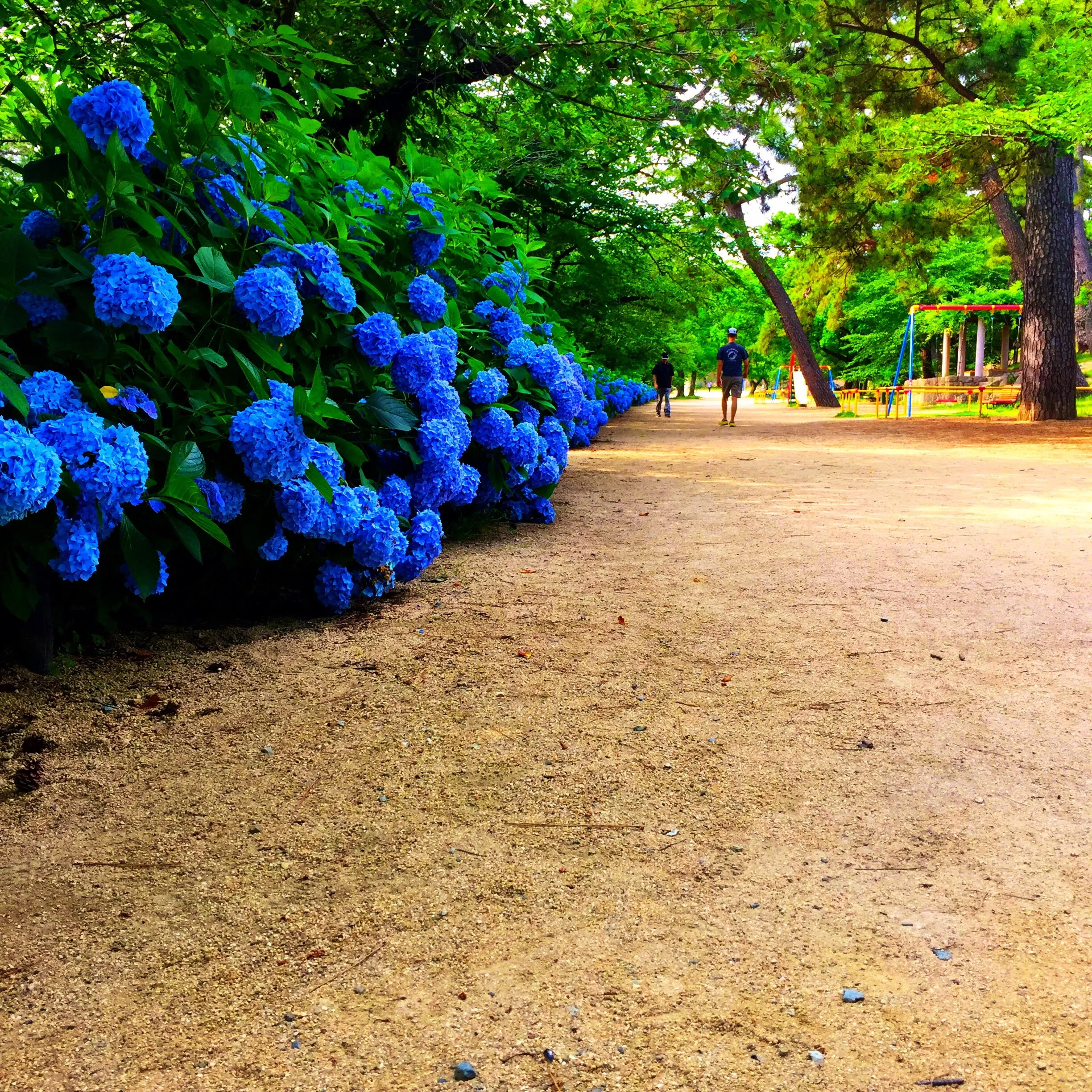 Blue