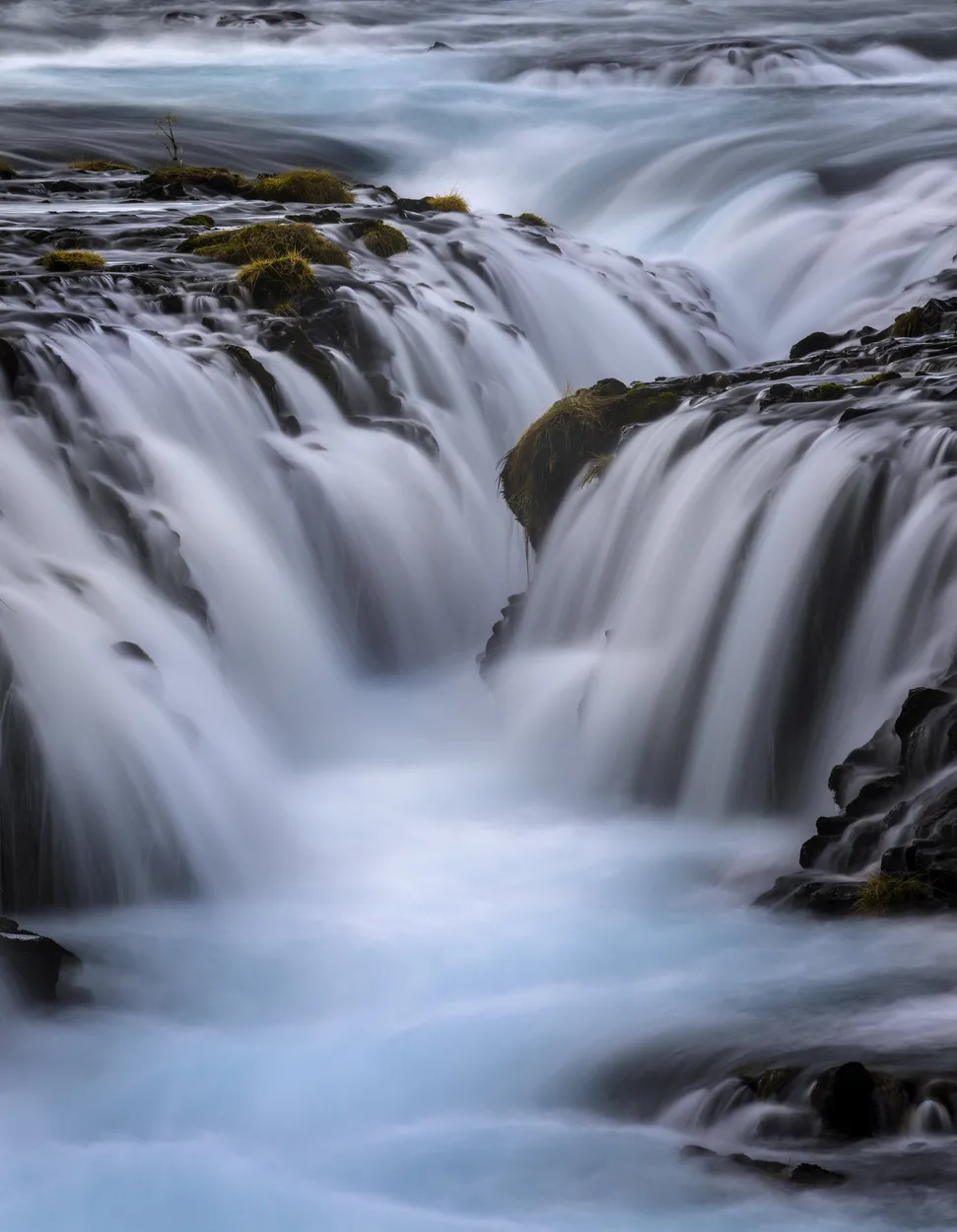 Entry 17051219