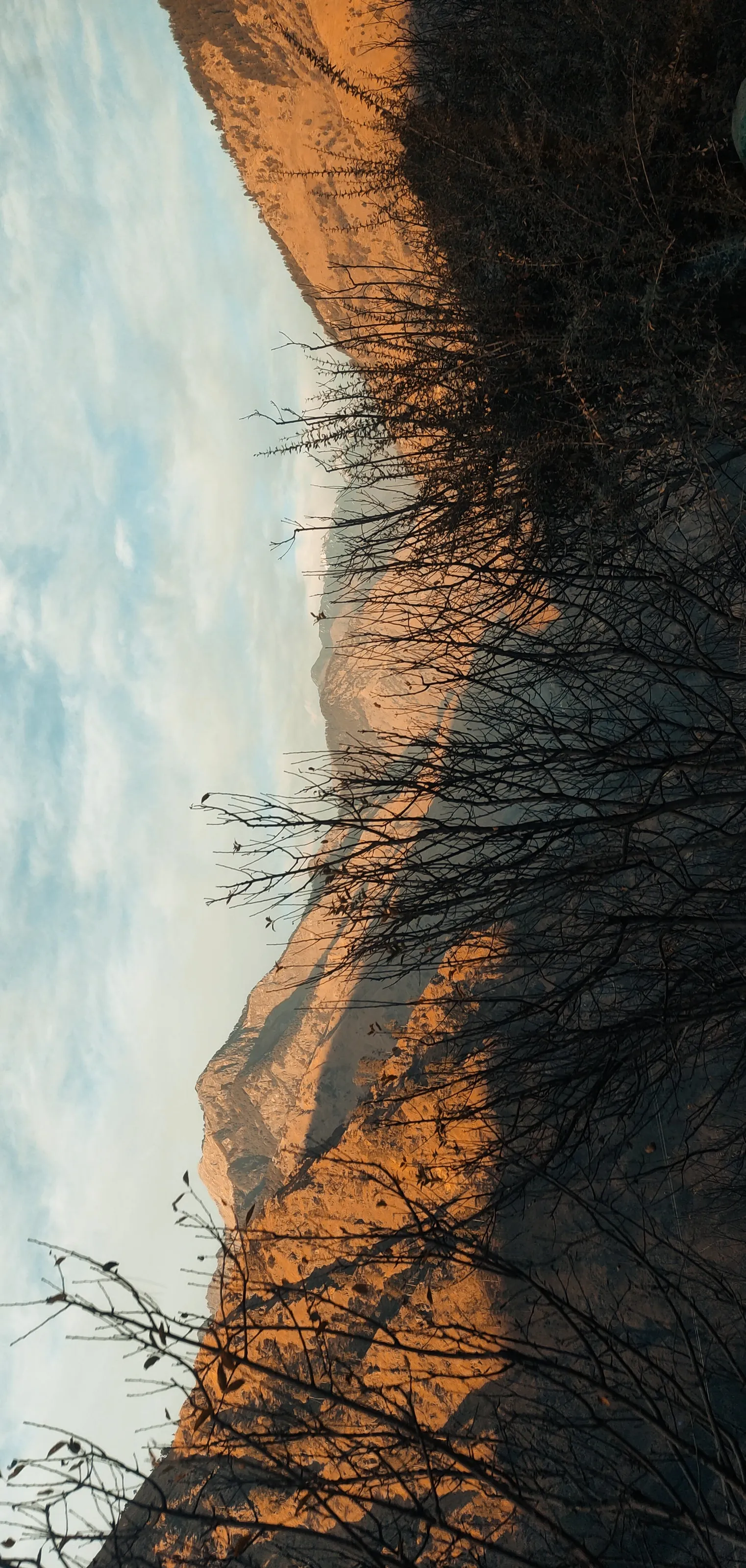 Kedarkantha Trek
