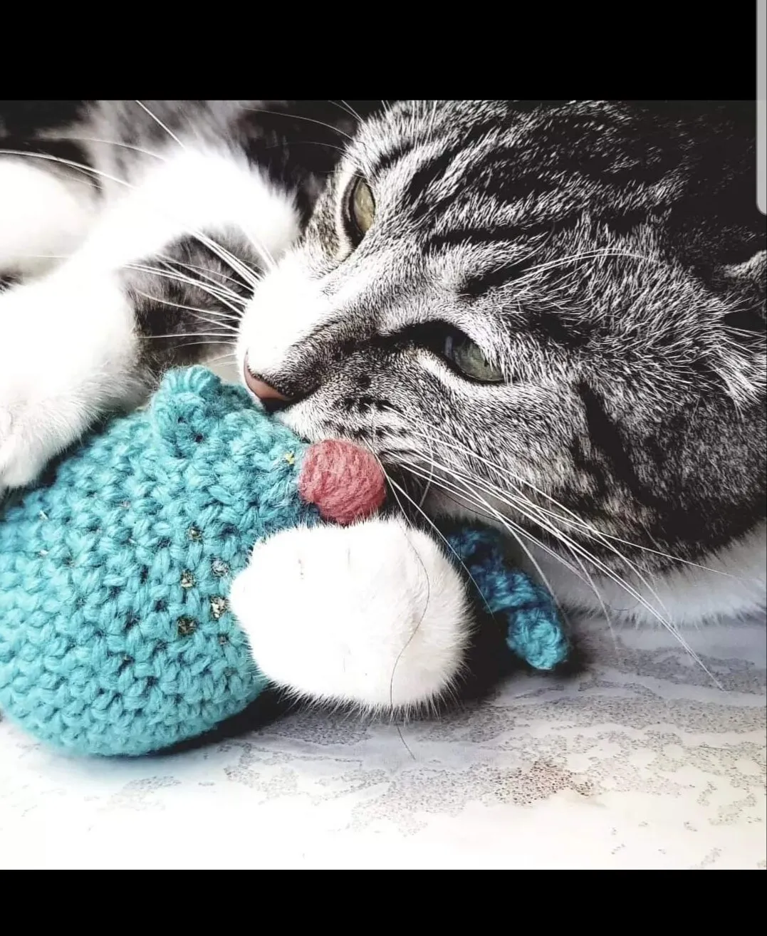 Little Furr Baby