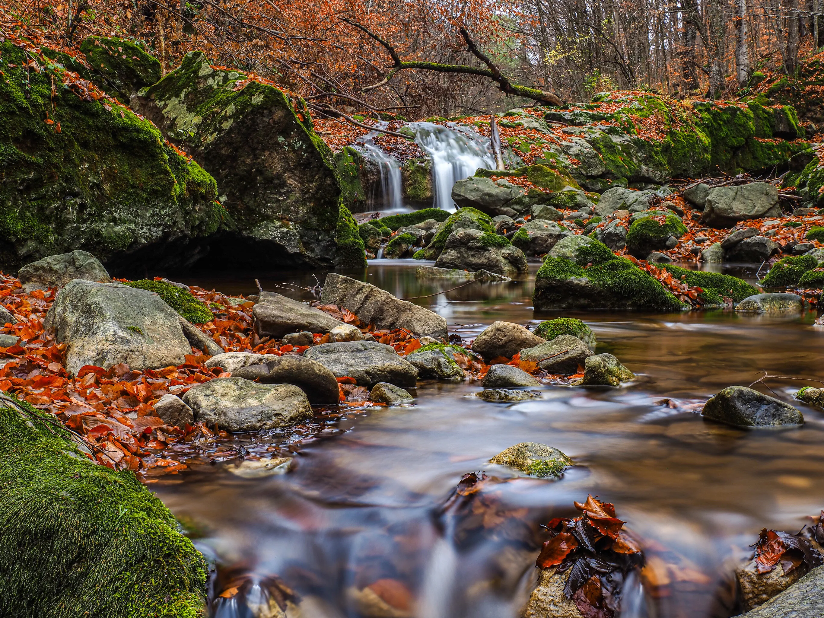 Waterfall