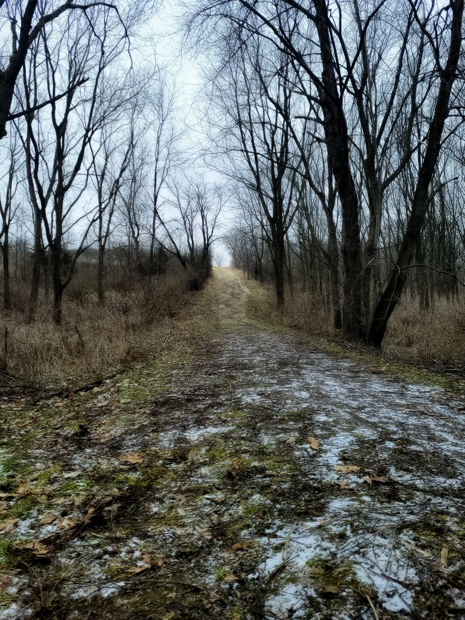 Entry 15403001