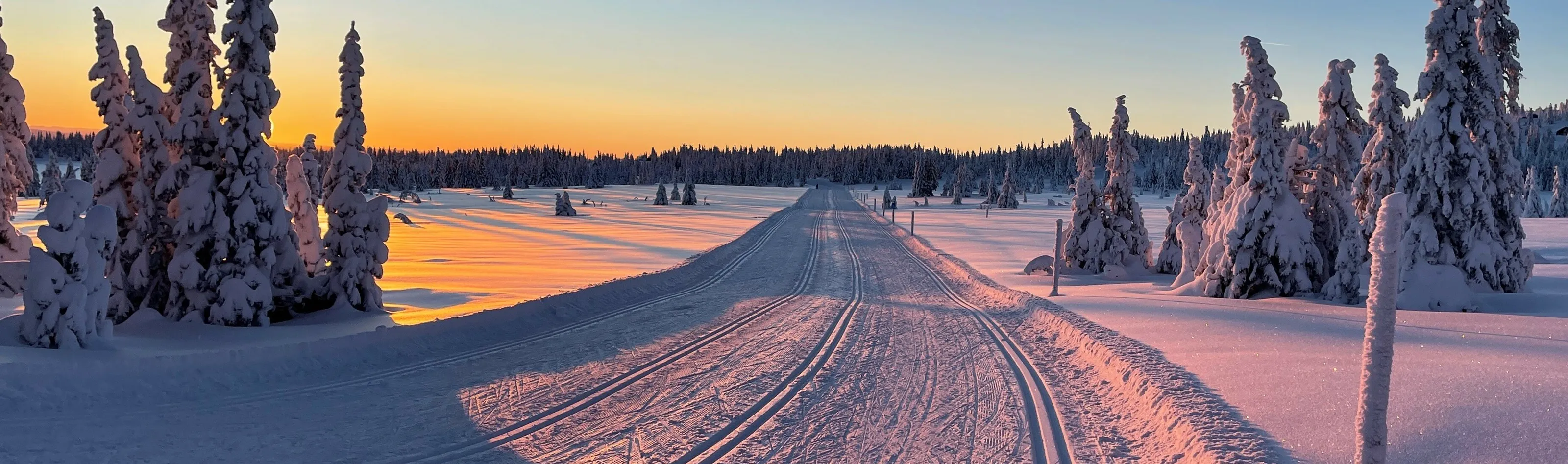 Birkebeineren