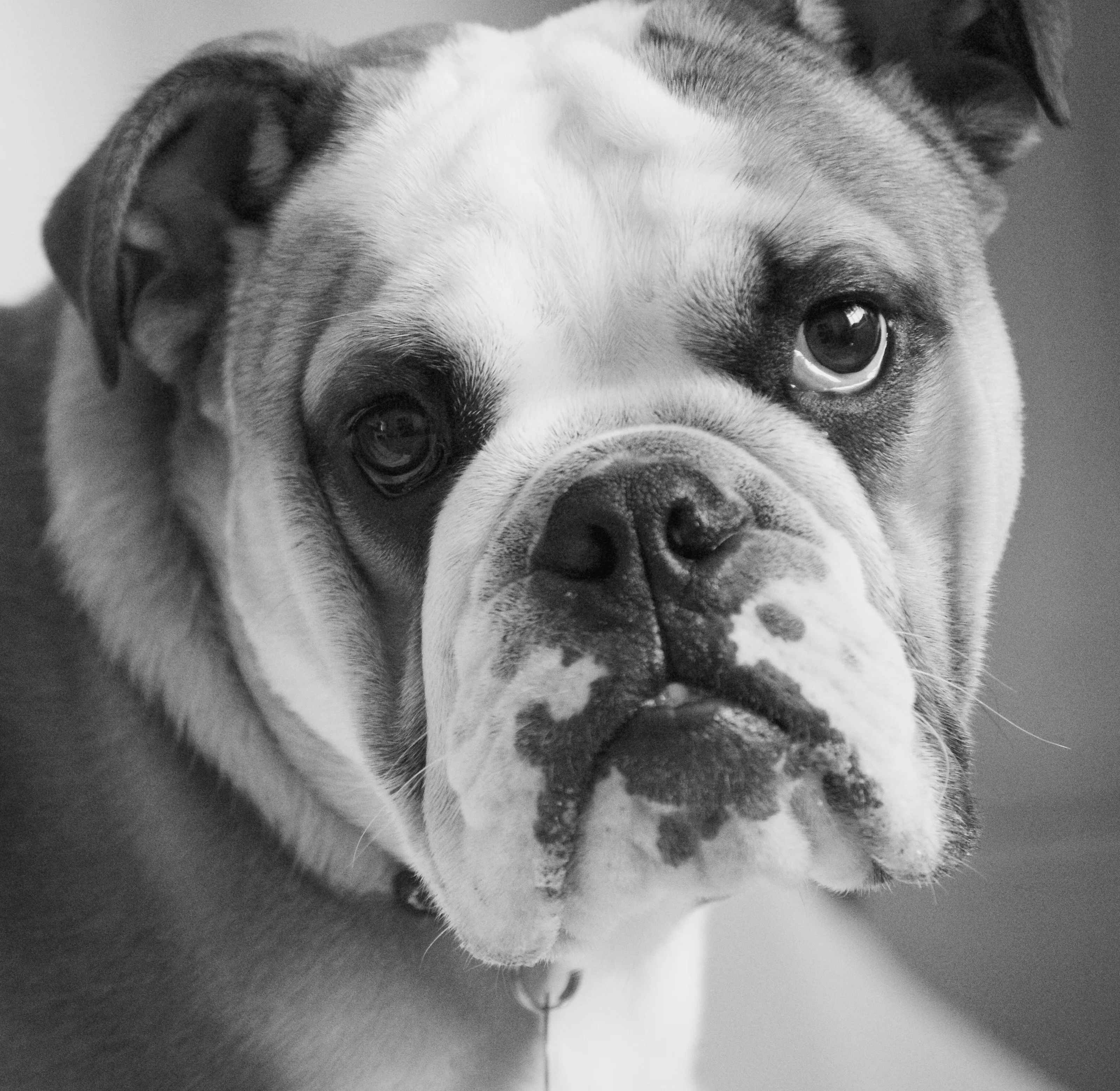 Albert