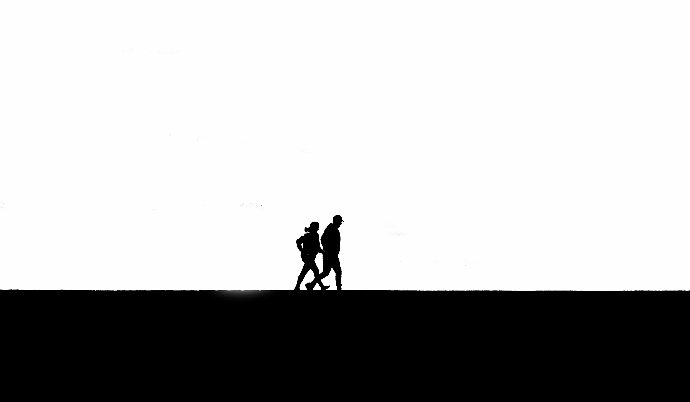 Entry 19081196