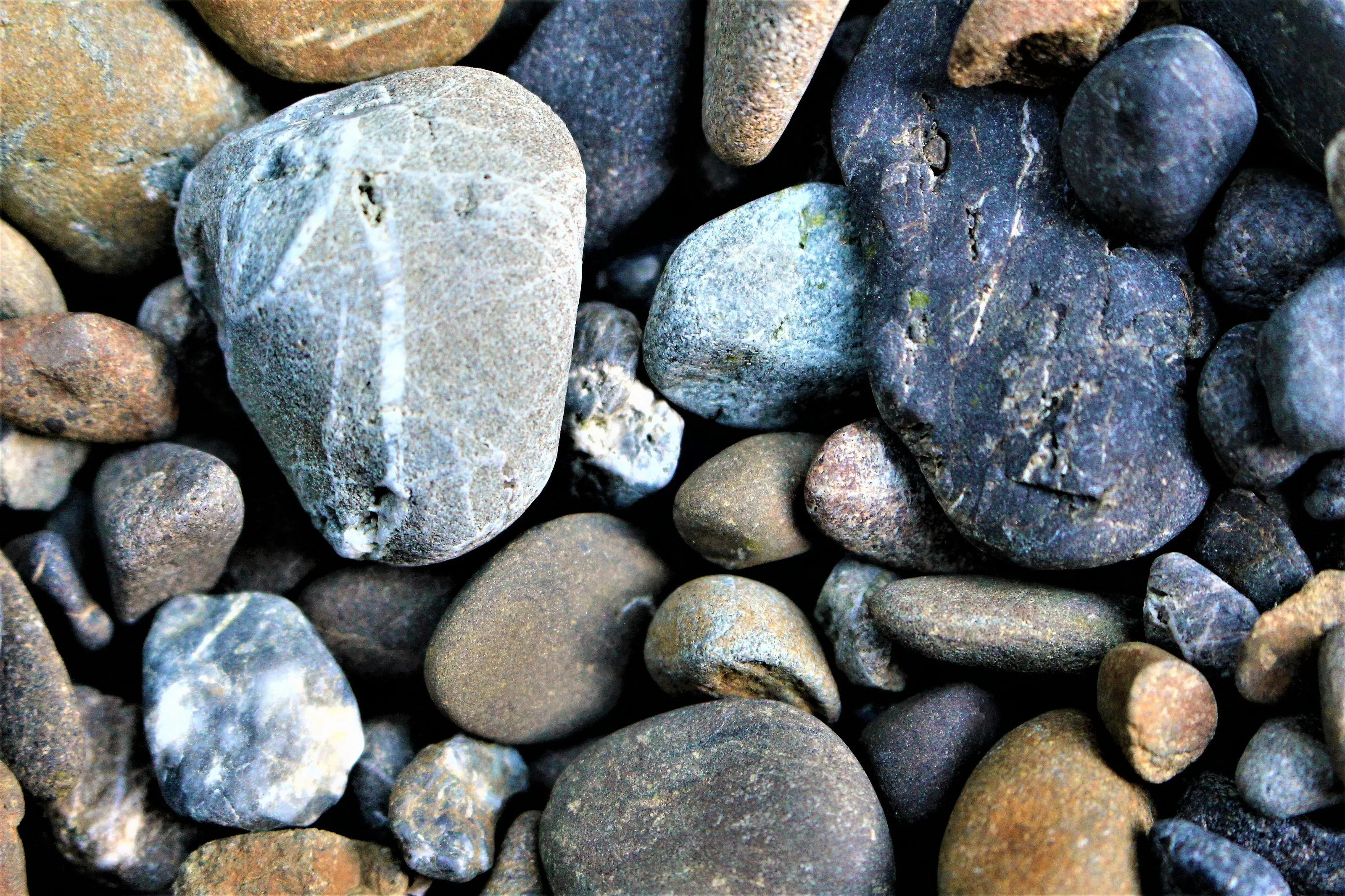 Banner image