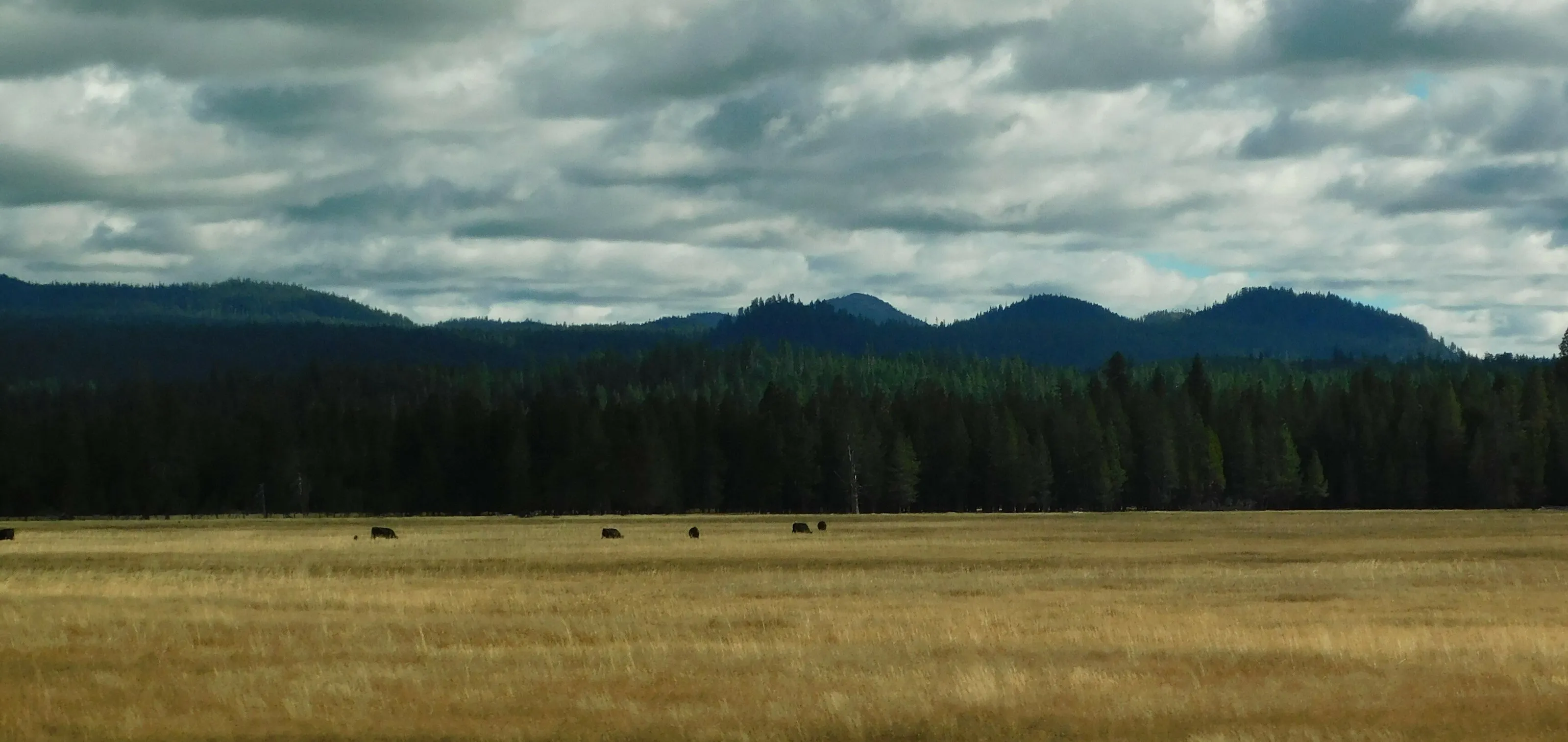 State of Serenity