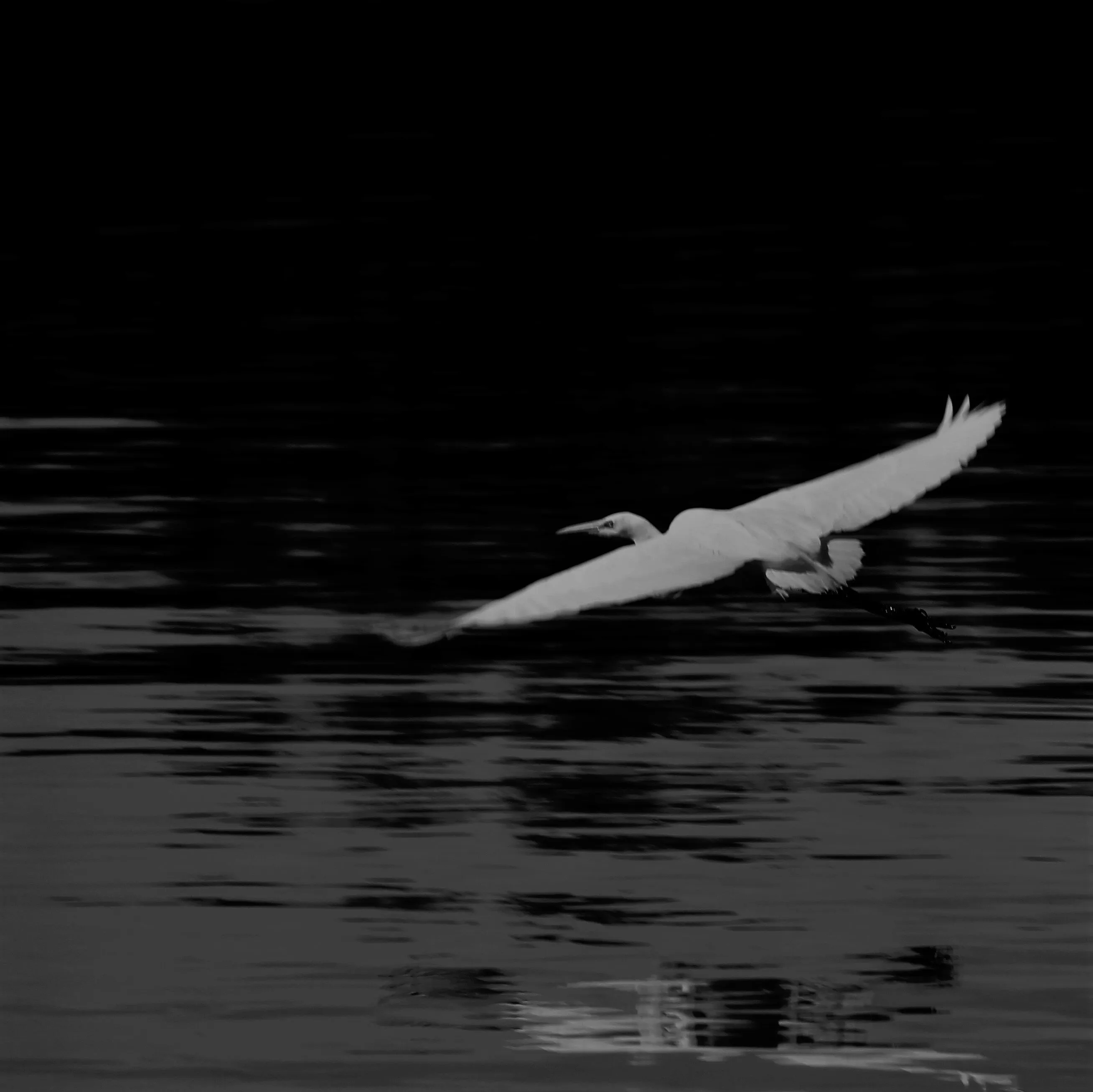 Ghost on the Water
