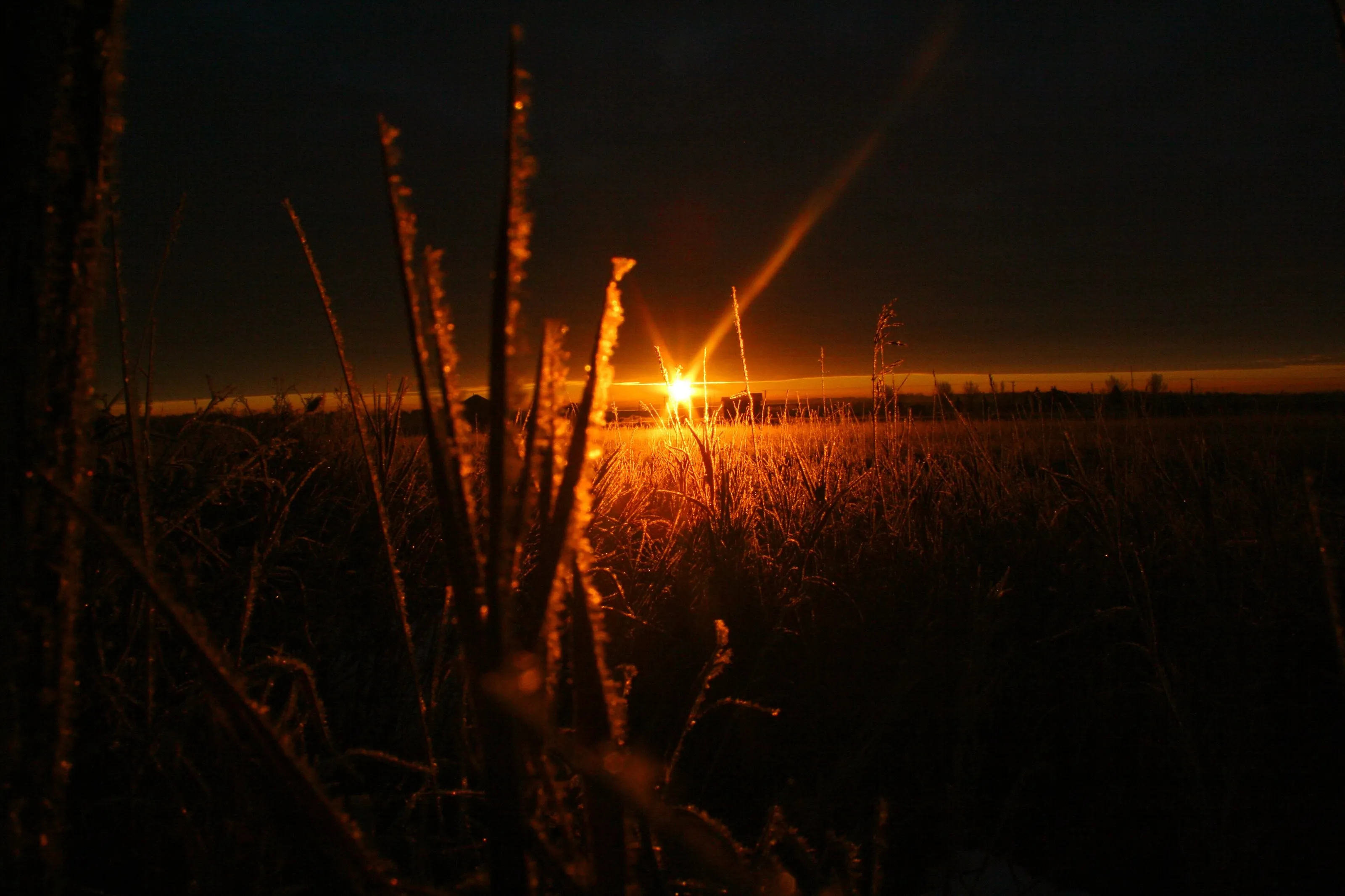 Morning Sun
