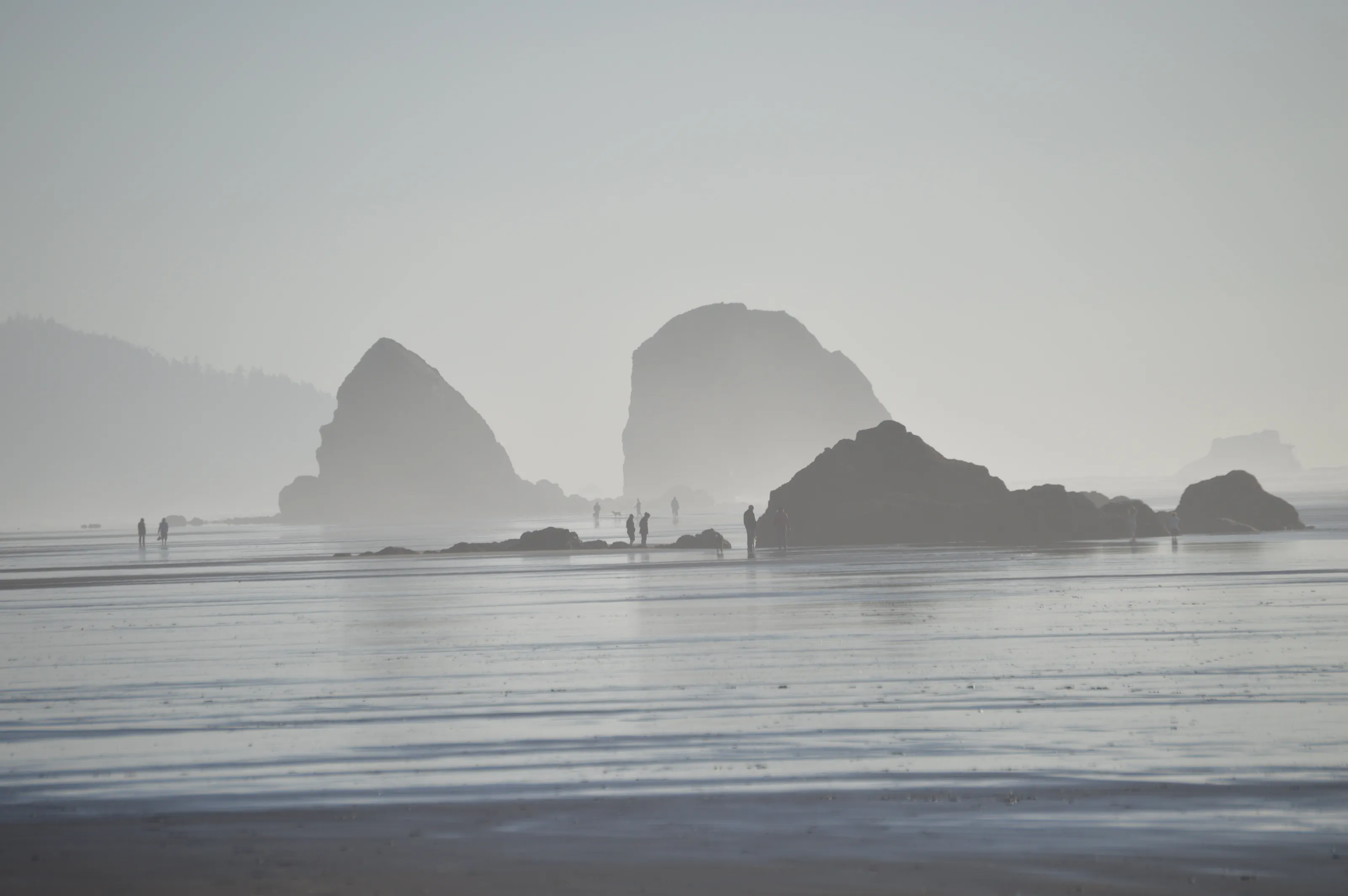 Cannon Beach inthe fog