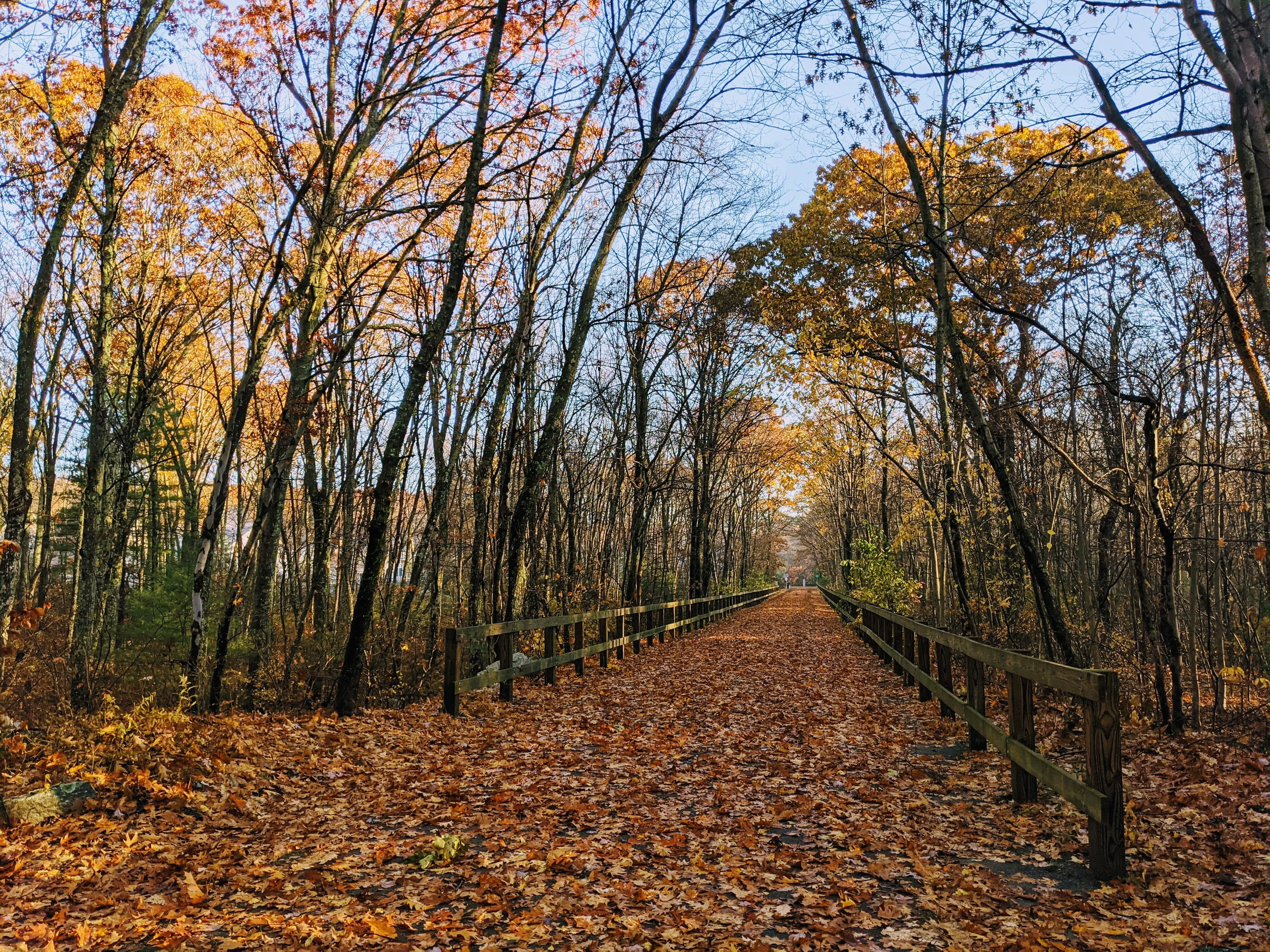 Walk thru the leaves