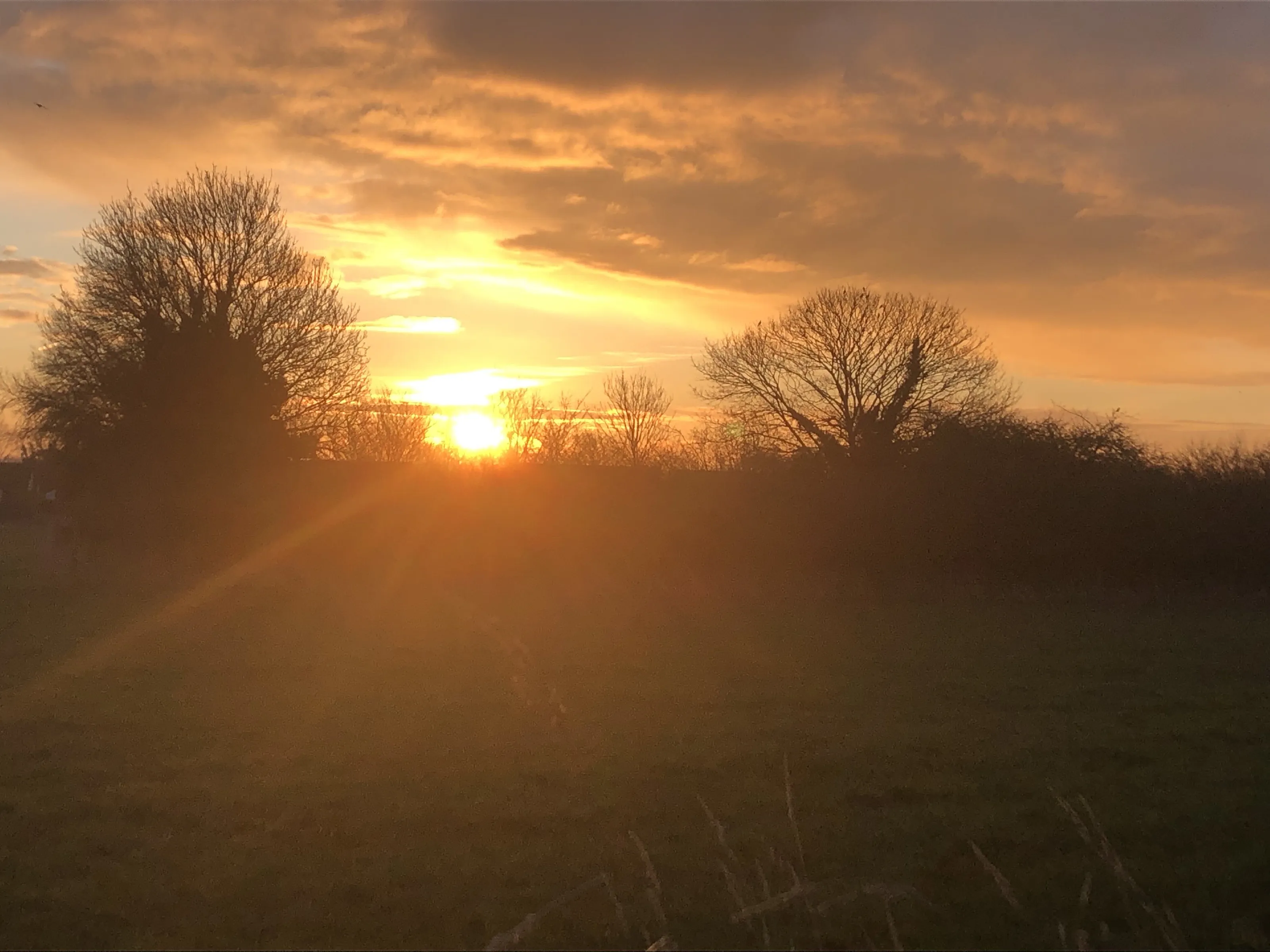 Sunrise