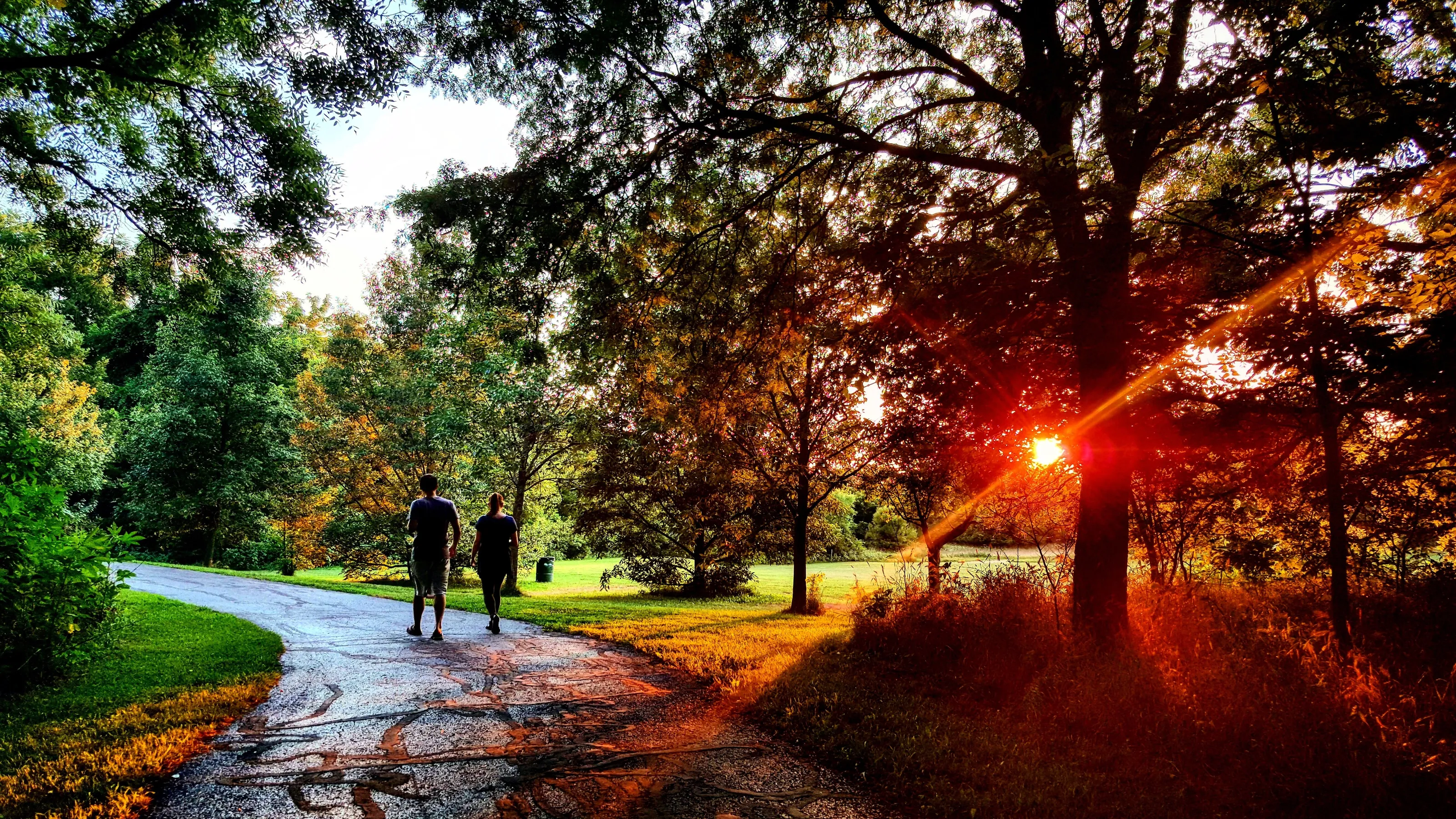 Meandering Through Colour