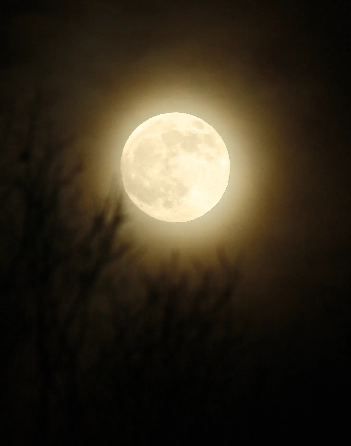 Reaching for Luna