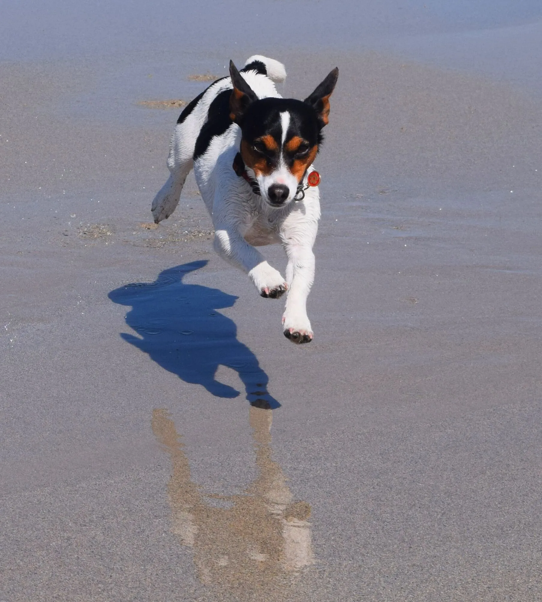 Run Willow Run.