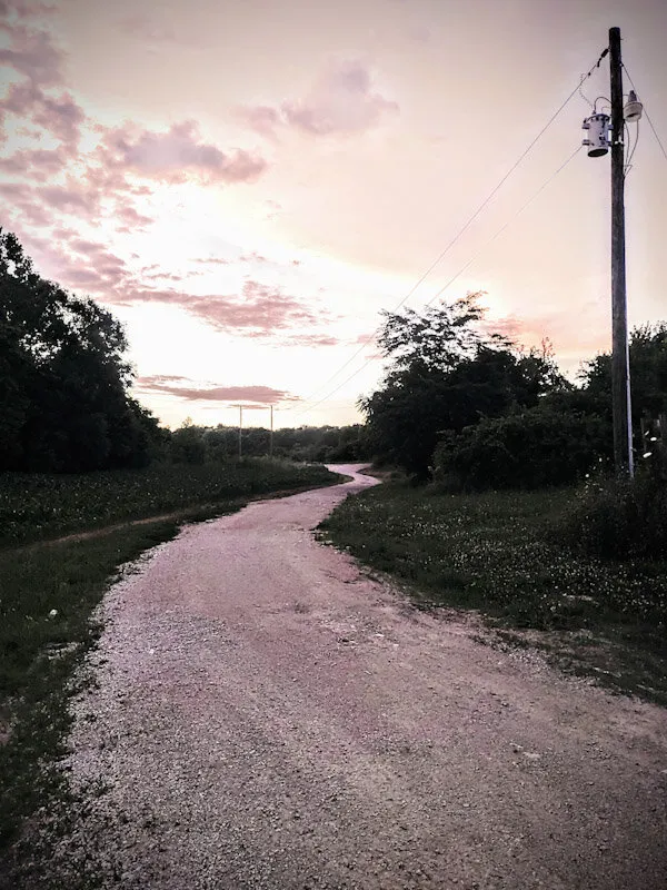 Country Lane