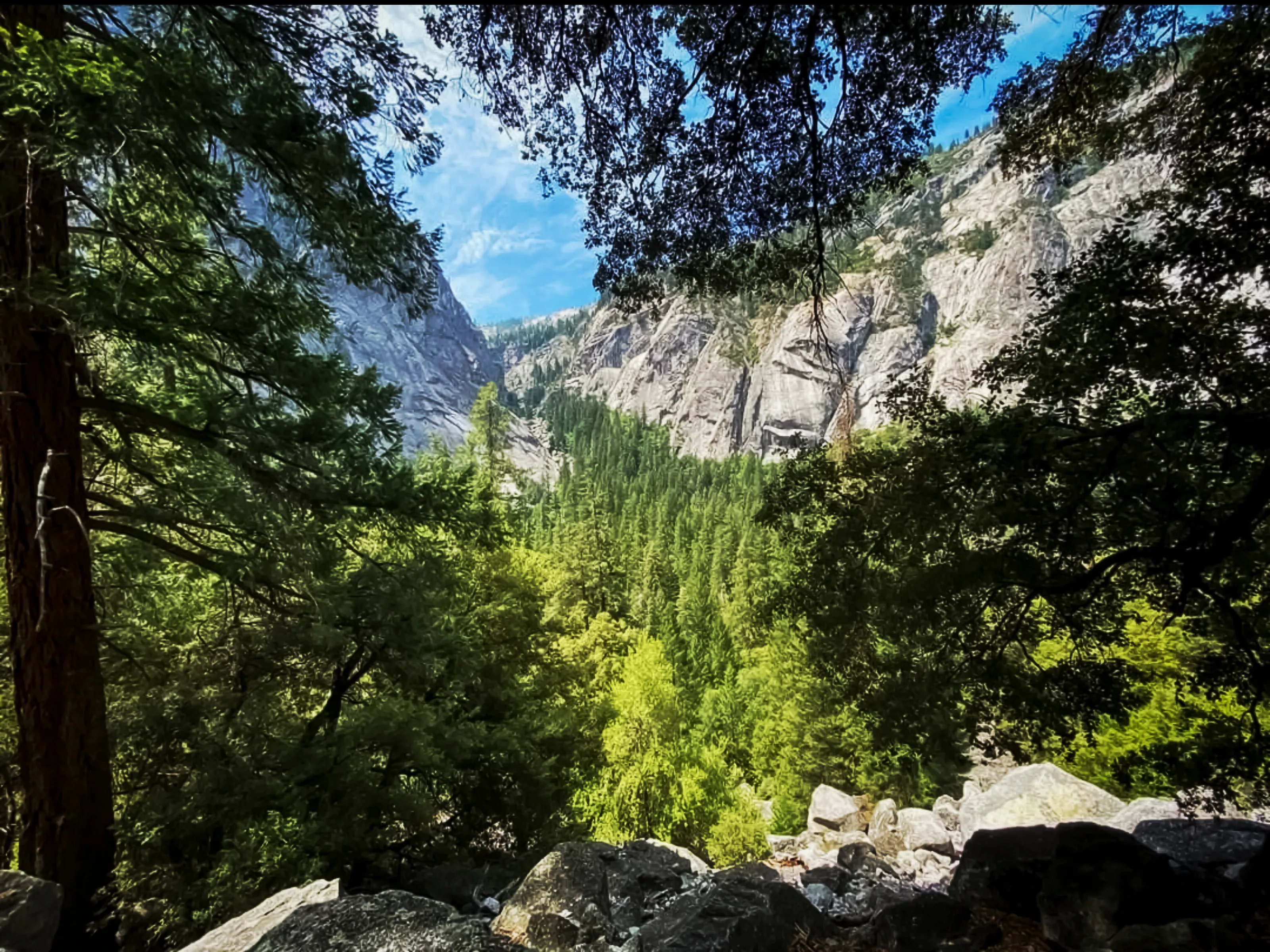 Window to Nature
