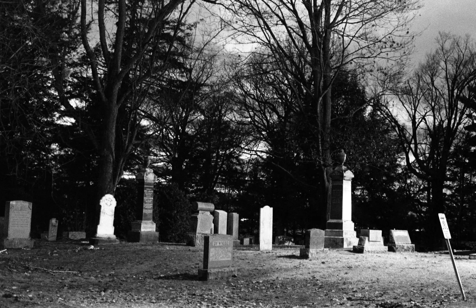 Night Photography- Graveyard