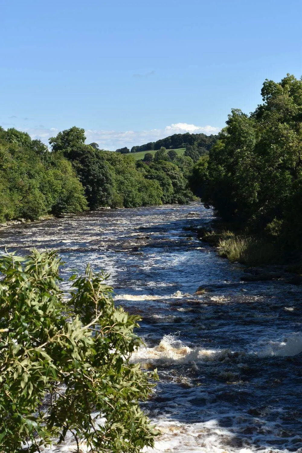 Rapids