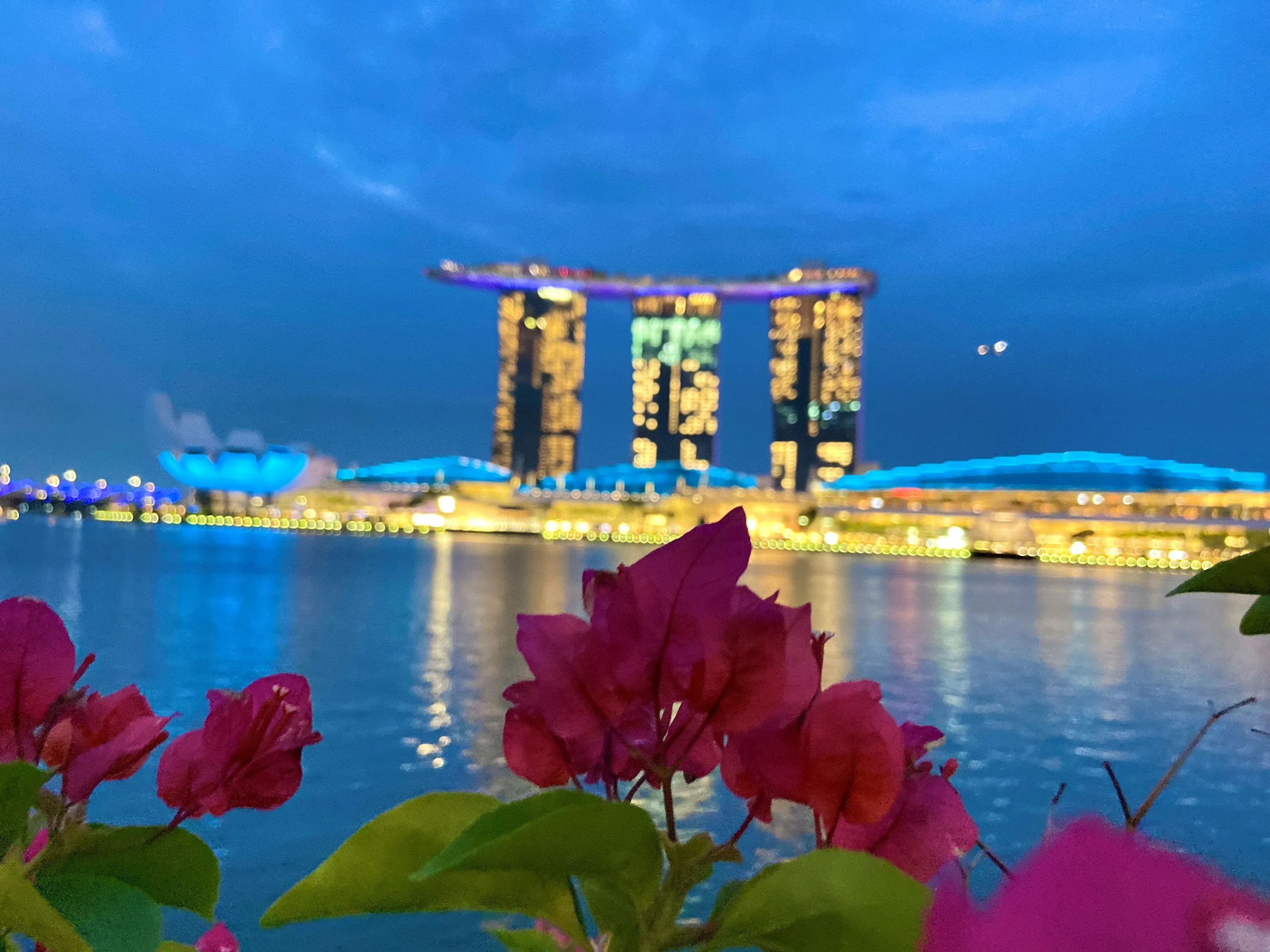 Flower View