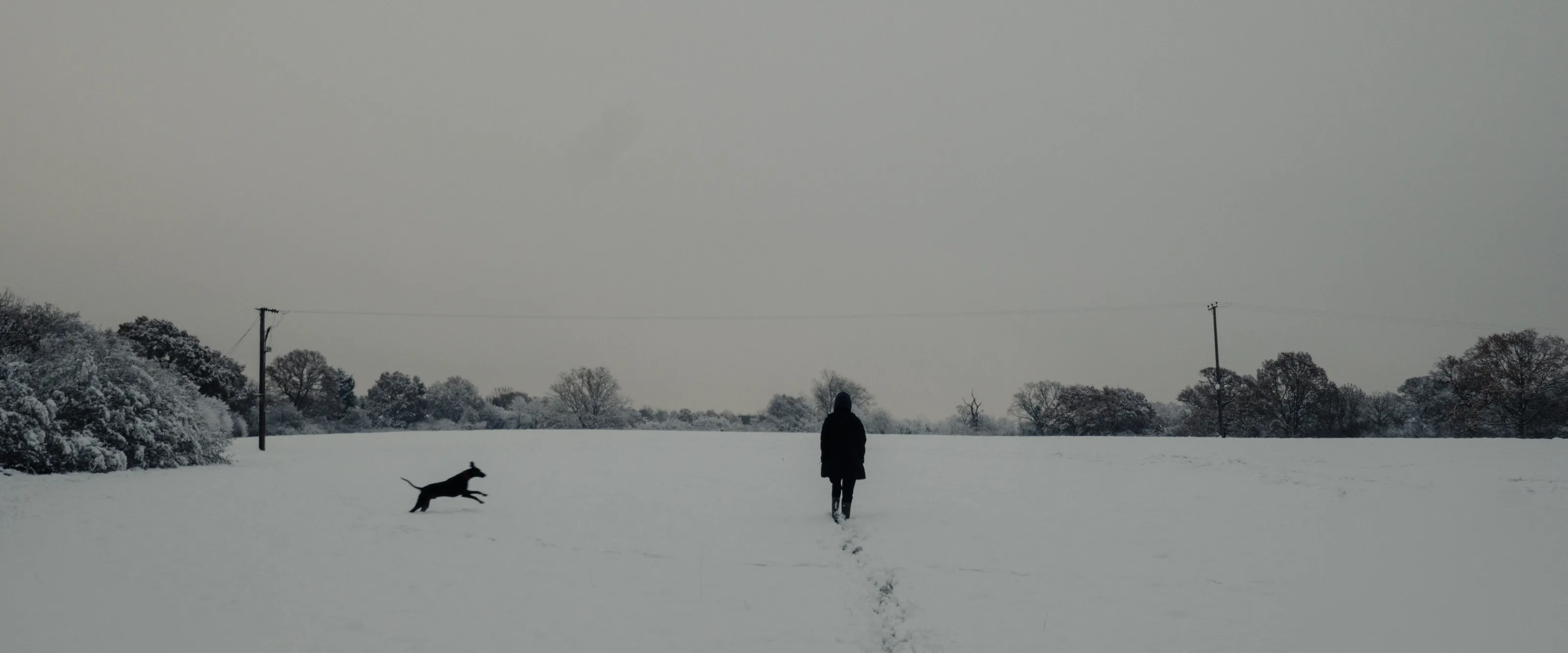 winter western