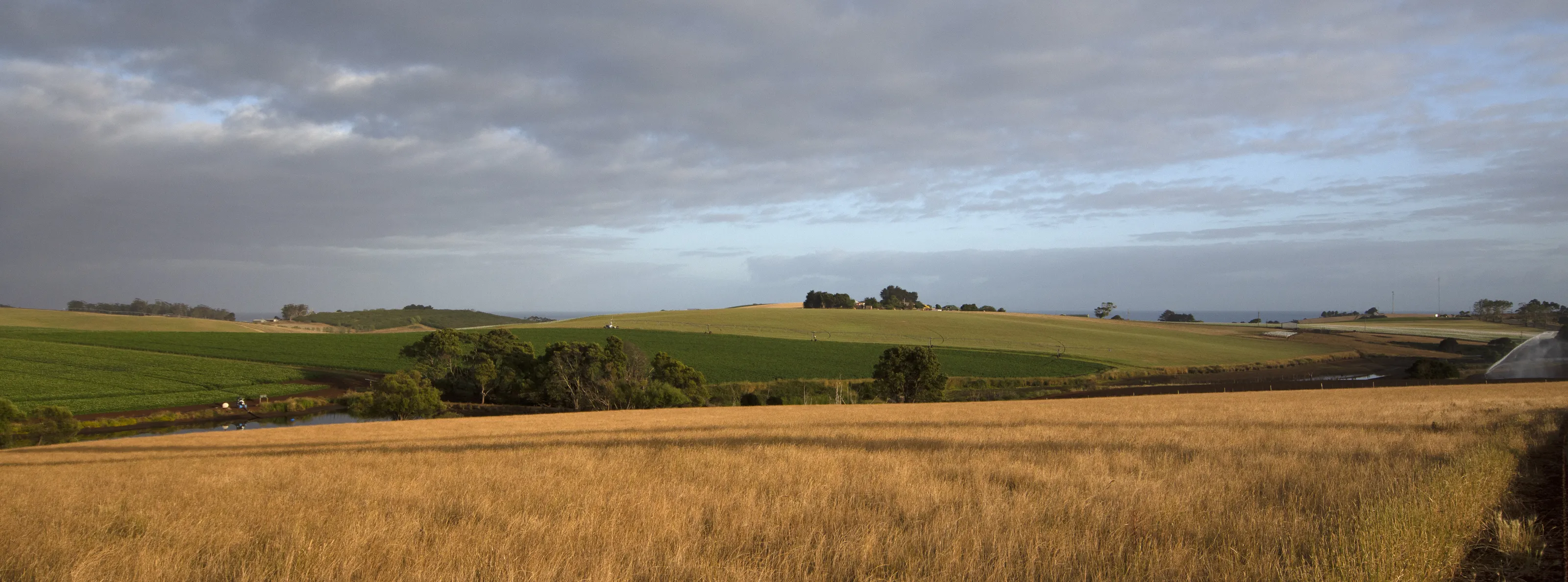 Forth Tasmania